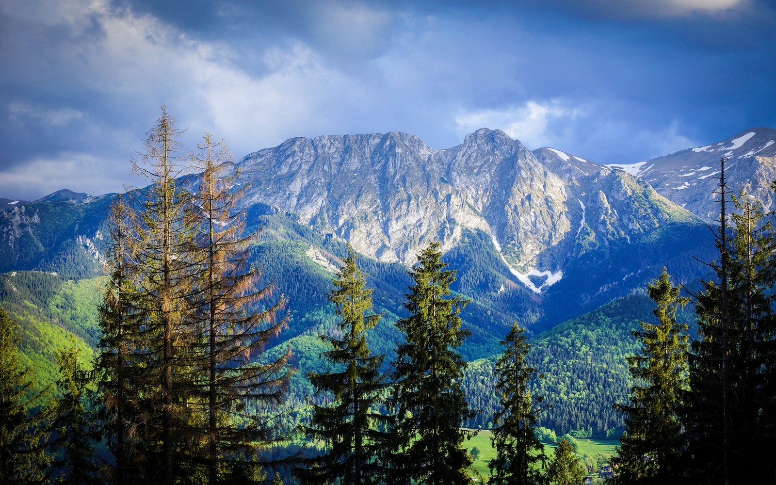 Nature Landscape Mountains Forest Carpathians Trees Clouds Summer Poland 1600x1000