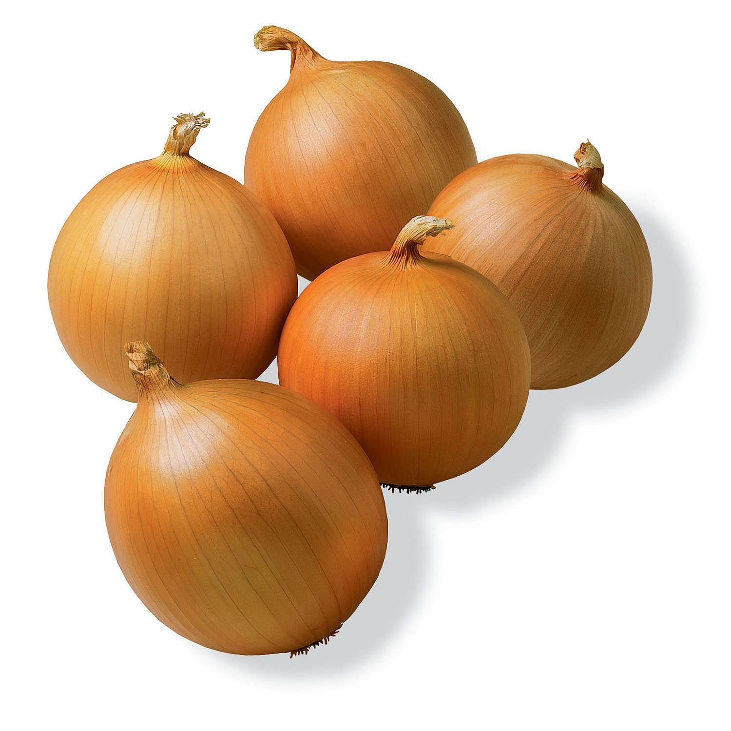 Onions White Background Food Vegetables 1500x1500