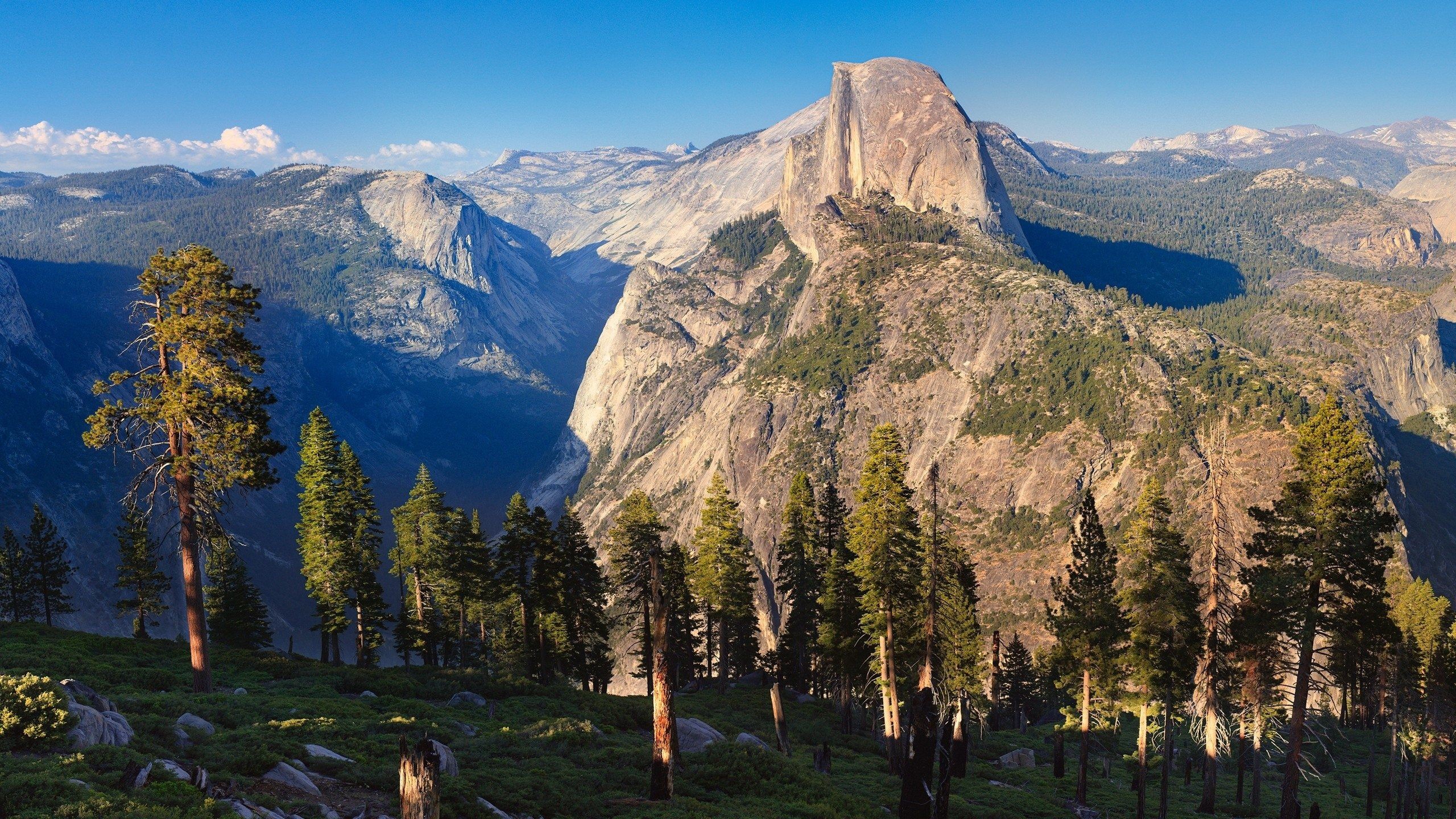 Half Dome Yosemite National Park California National Park Pine Trees 2560x1440