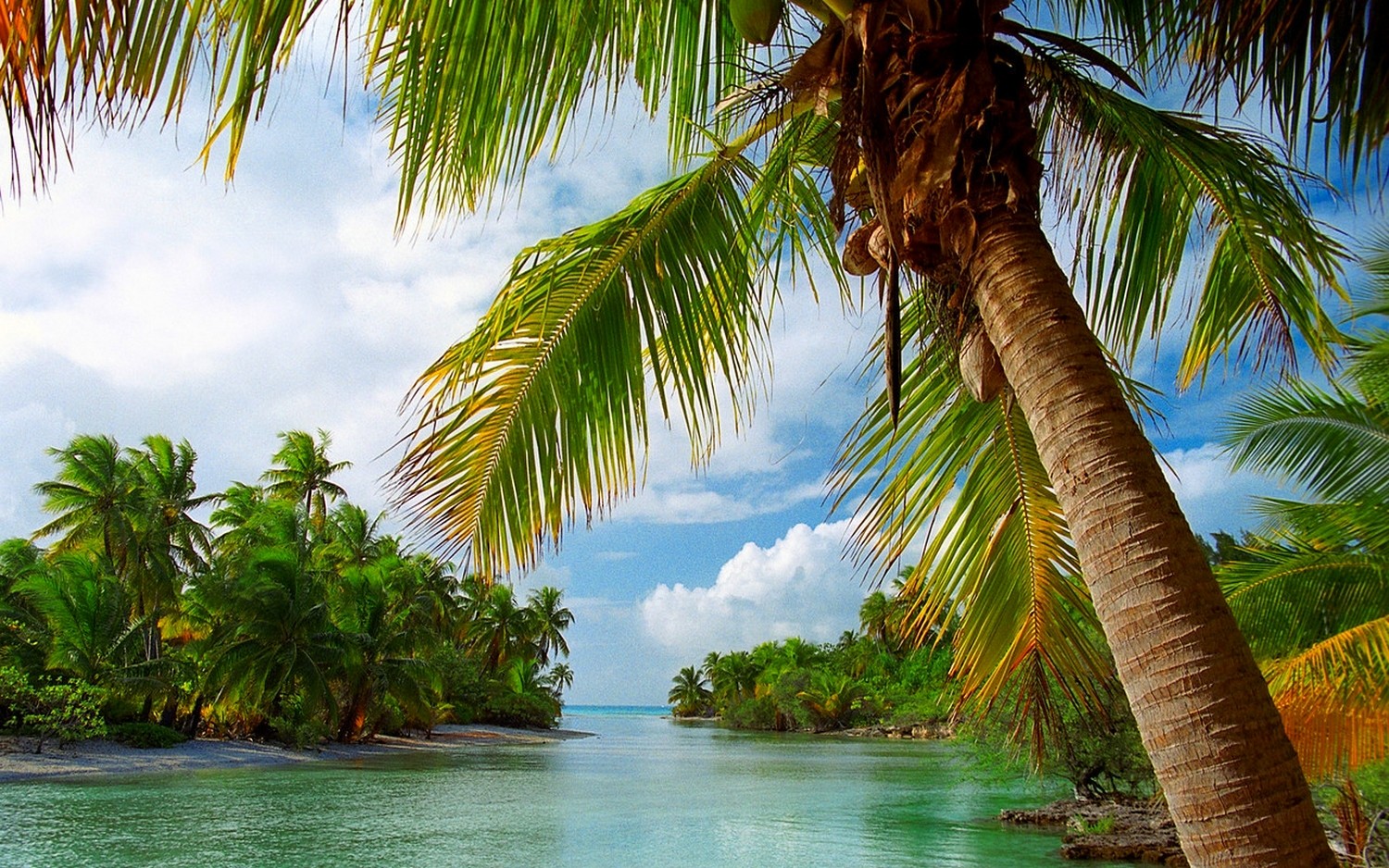 Beach Tropical Summer Sea Nature Island Palm Trees Landscape Clouds French Polynesia Vacation 1500x938