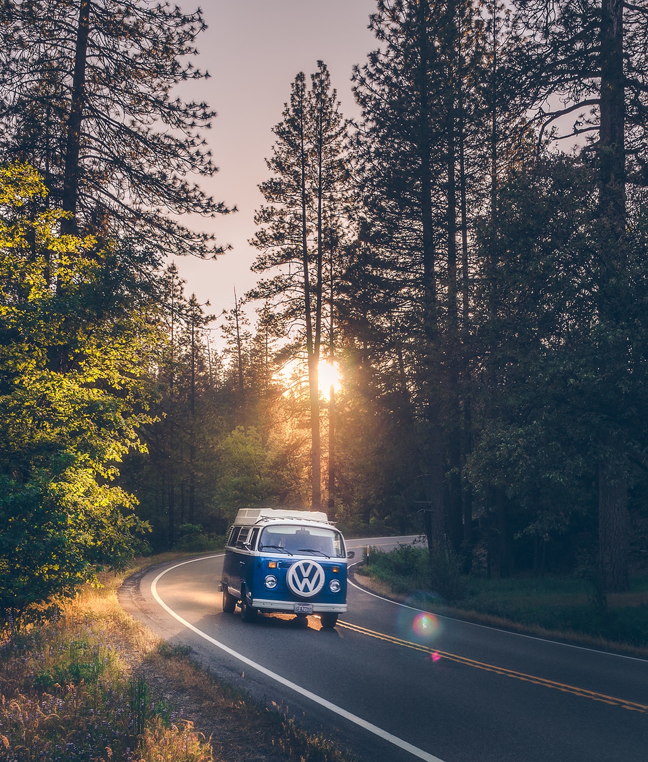 Photography Vw Bus Forest Road Yosemite National Park Portrait Display Volkswagen Calm Vans Sunlight 1275x1500