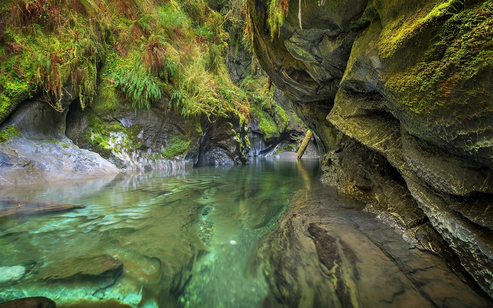 Nature Landscape River Emerald Moss Canyon Shrubs Water 1600x1000