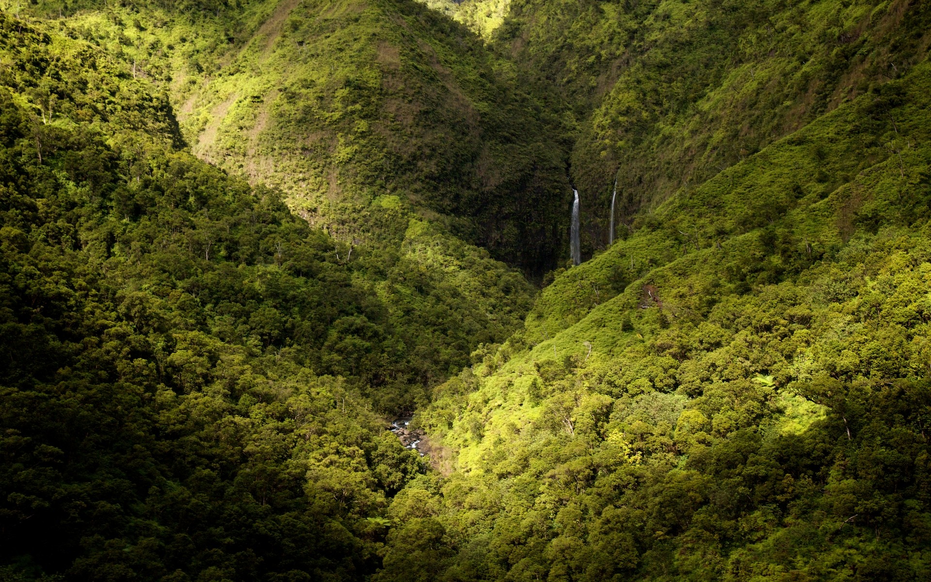 Landscape Nature Mountains Forest Waterfall Spring Kauai Green 1920x1200