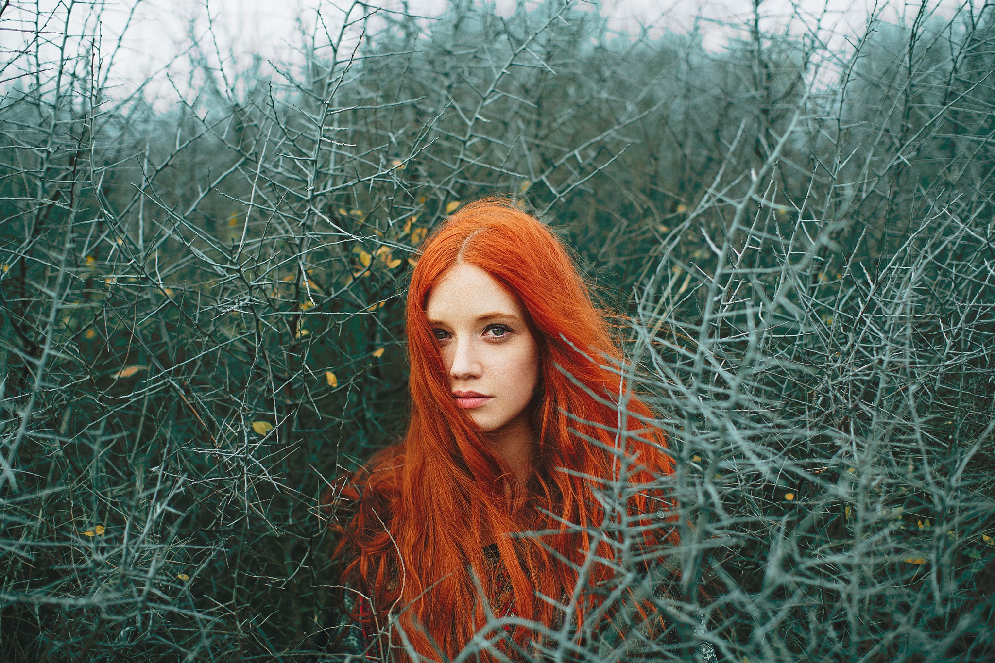 Women Face Redhead Women Redhead Hair In Face Windy Thorns Women Outdoors Looking At Viewer Long Hai 2048x1366