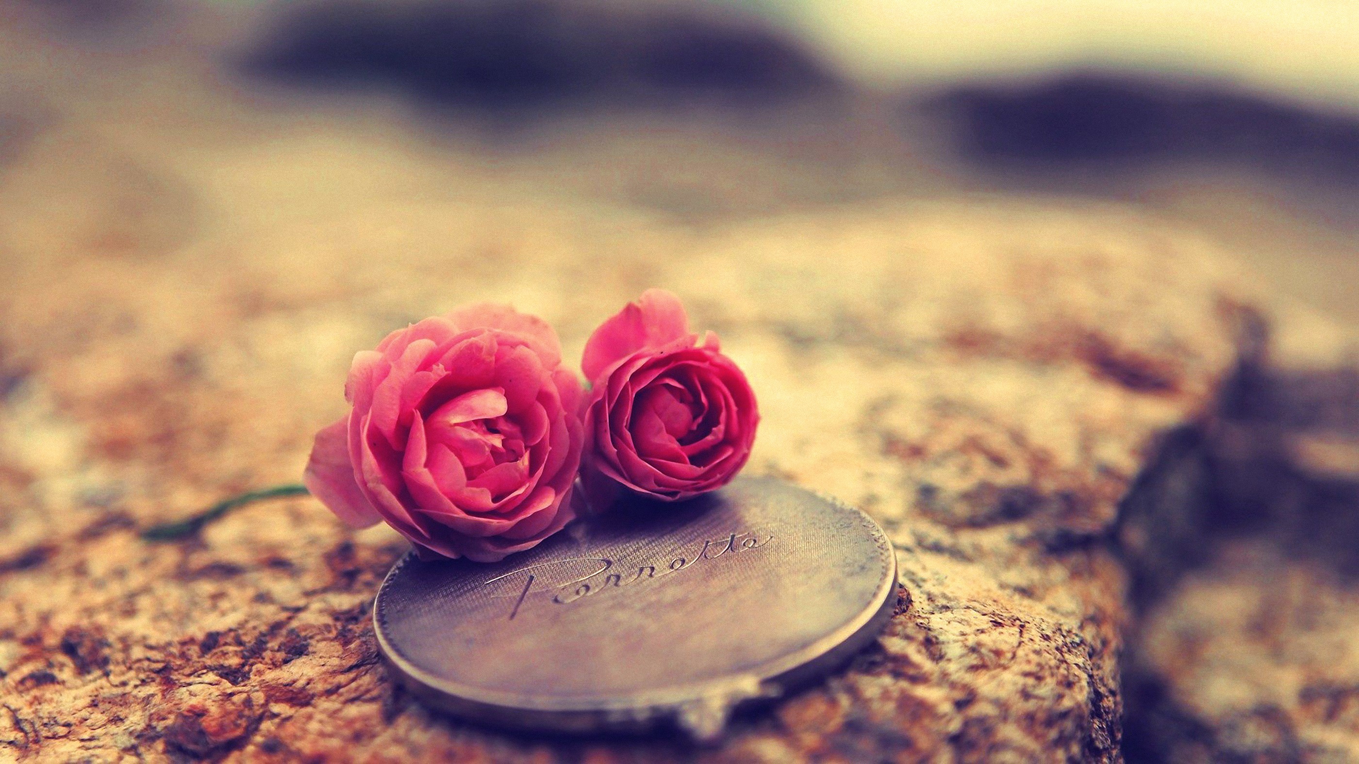 Rose Love Flowers Medallion 2800x1575