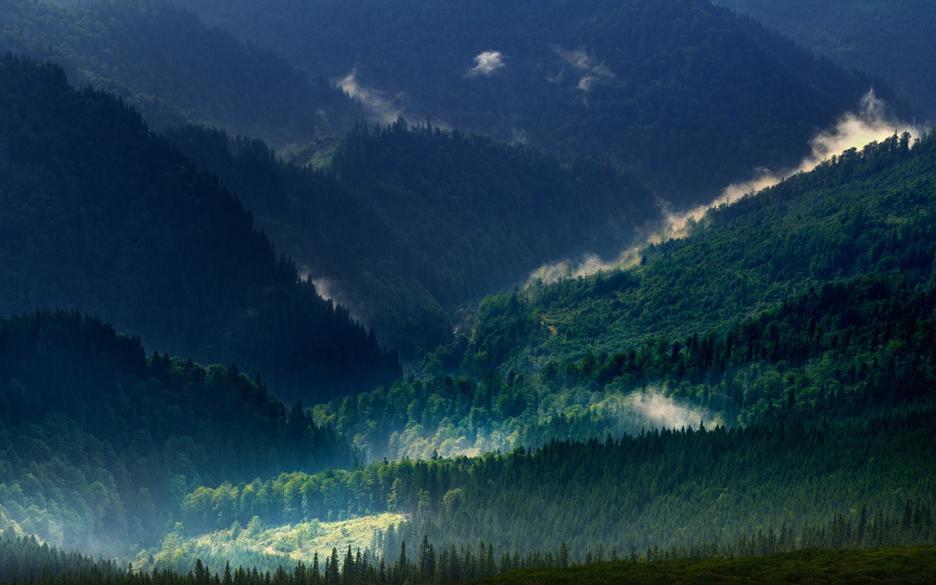 Landscape Nature Carpathians Mountains Mist Forest Spring Green Trees 1920x1200