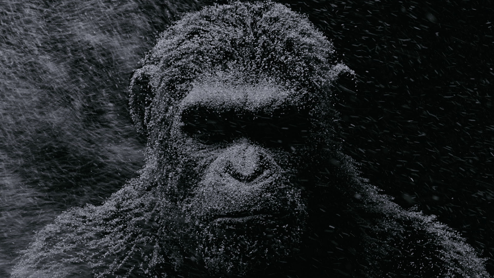 War For The Planet Of The Apes Planet Of The Apes Movies Andy Serkis Caesar Frontal View 1920x1080