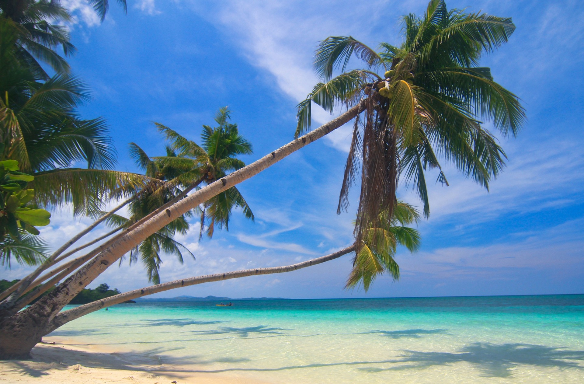 Photography Nature Landscape Palm Trees White Sand Beach Tropical Sea Summer Island Philippines 1920x1262