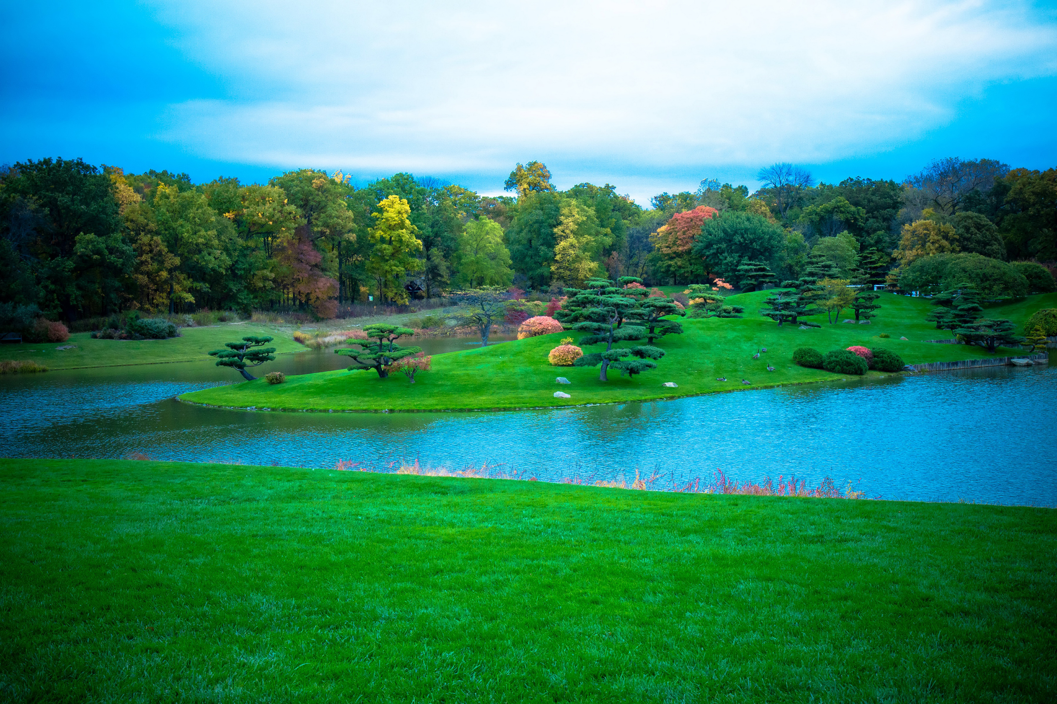 Botanical Garden Tree Spring Green 3600x2400