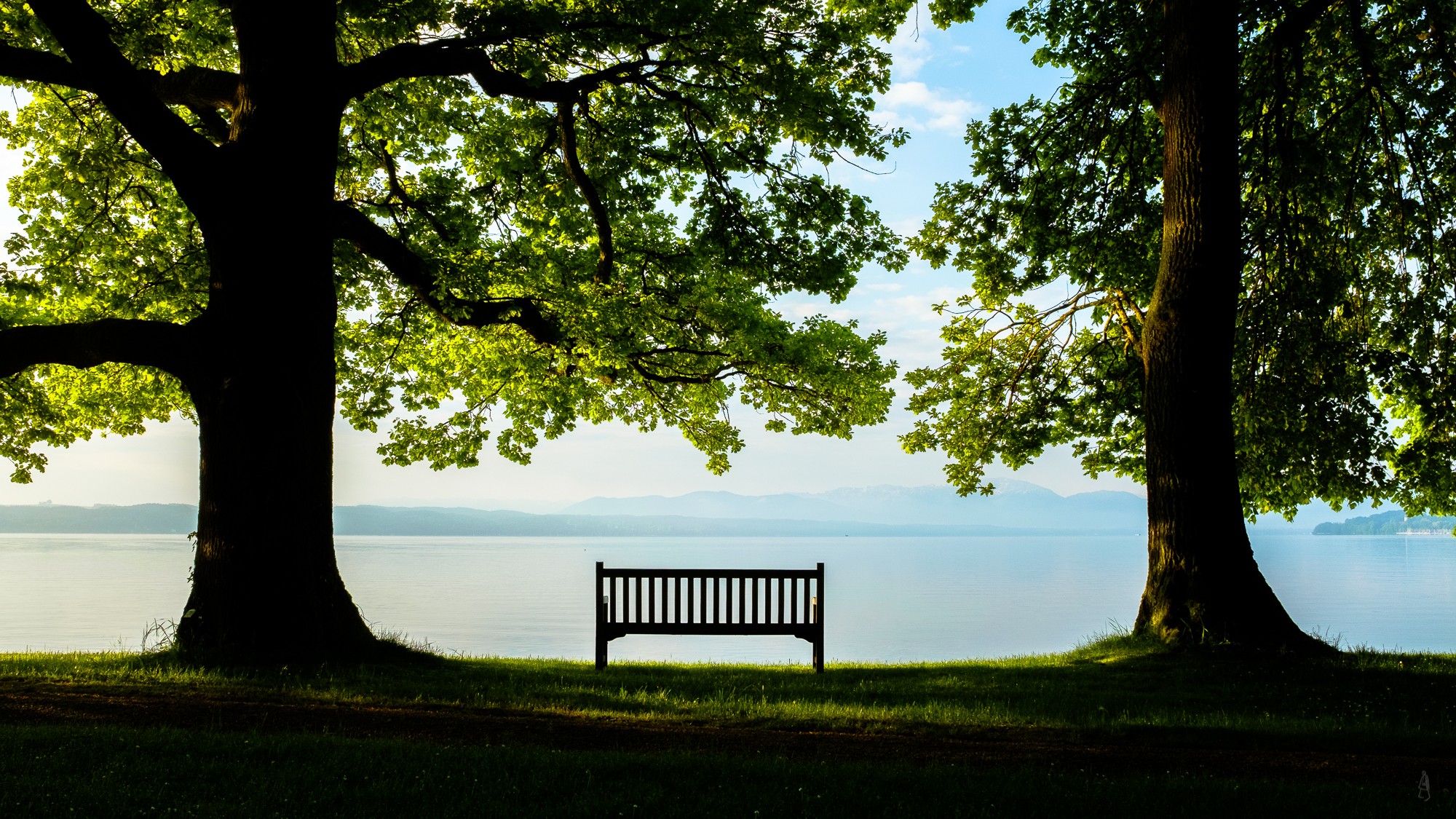 Photography Nature Bench Trees Alone Rest Sea Far View Calm Lake Grass Sunlight 2000x1125
