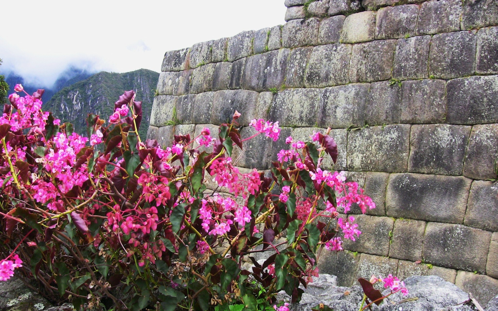 Man Made Machu Picchu 1920x1200