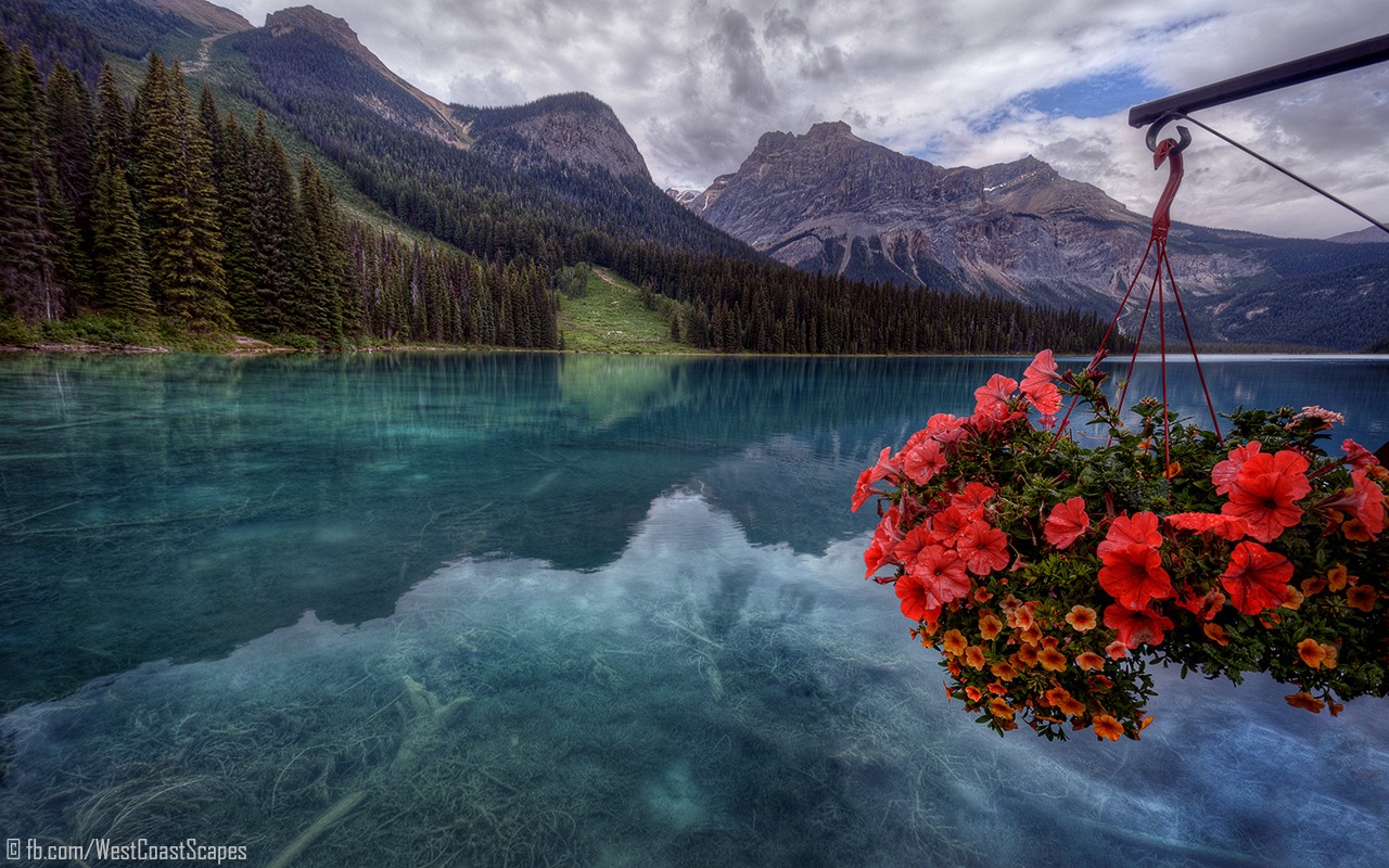 Lake Landscape Emerald Lake Yoho National Park Canada Mountains 1280x800