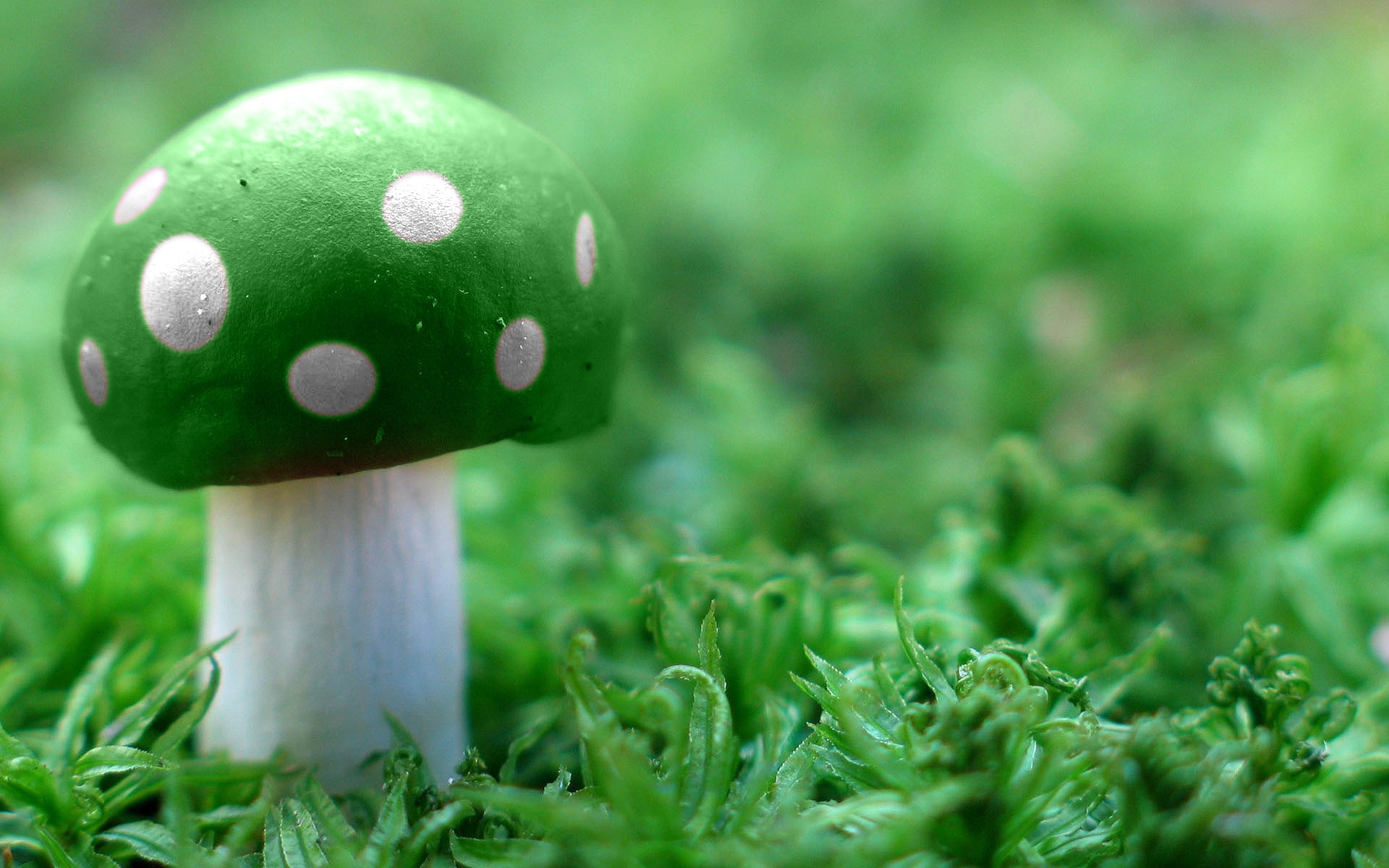 Mushroom Green Video Games Macro Grass 1 Up 1920x1200