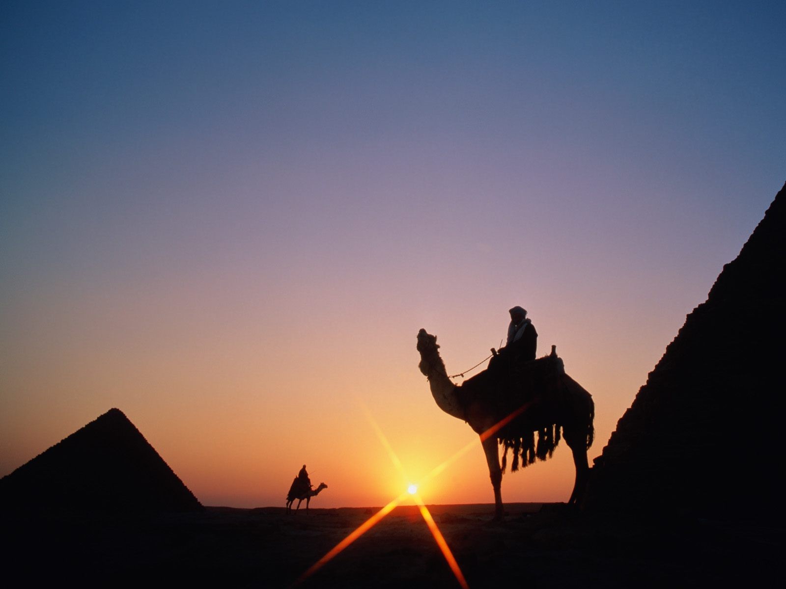 Pyramids Of Giza Silhouette Camels People Men Outdoors Pyramid 1600x1200