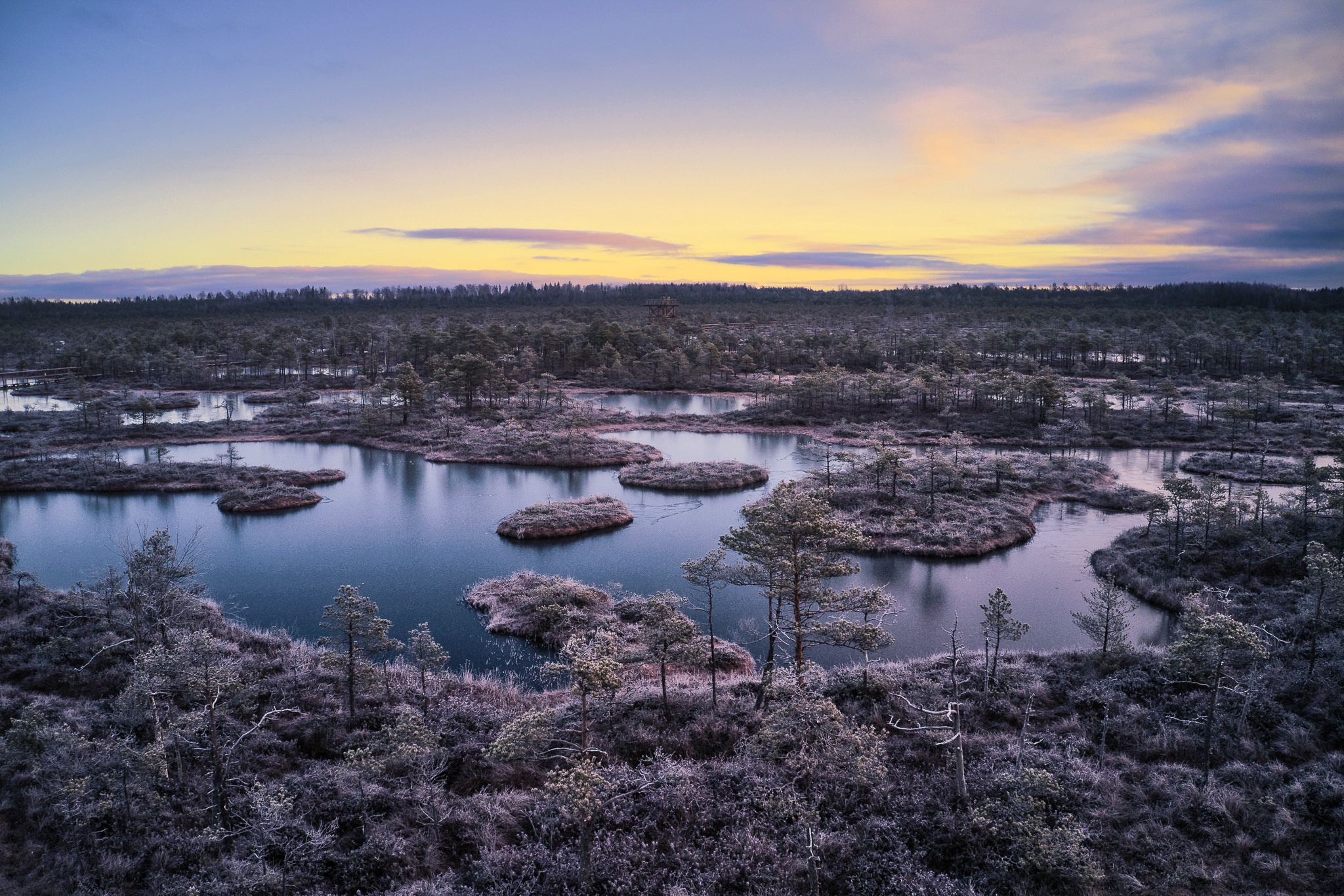 Winter Nature Landscape Sky Estonia Lake Swamp 2048x1365