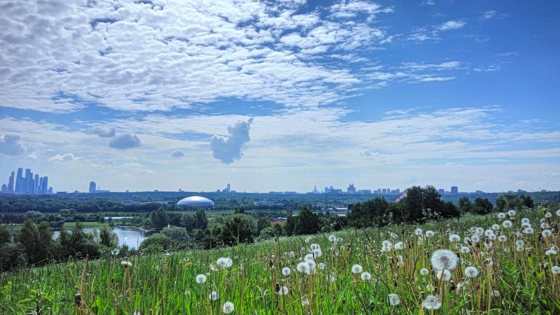 Landscape Cityscape Summer Dandelion Grass Moscow Moscow City Sky Clouds 1920x1081