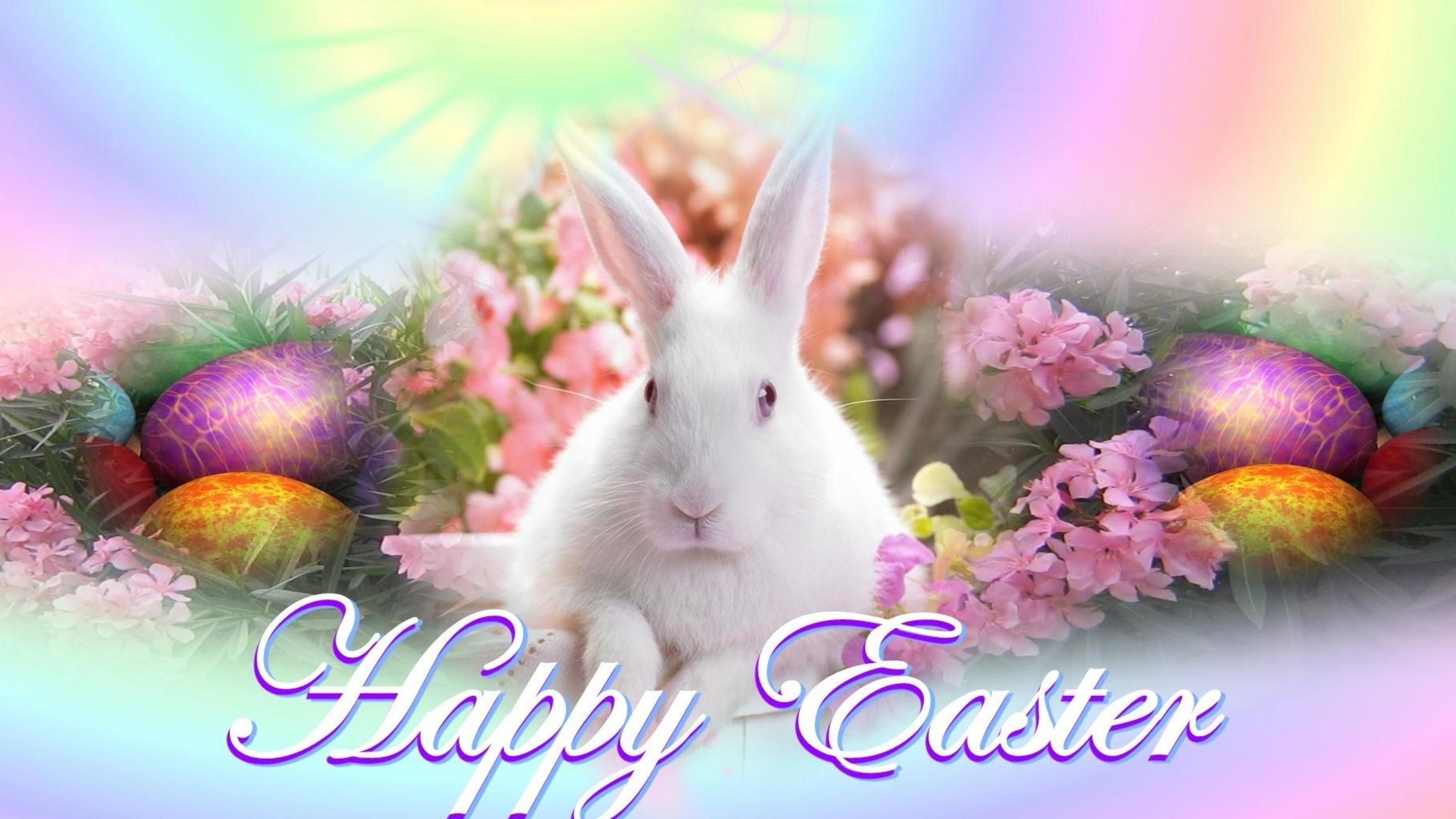 Bunny Easter Egg Rabbit Happy Easter 3840x2160