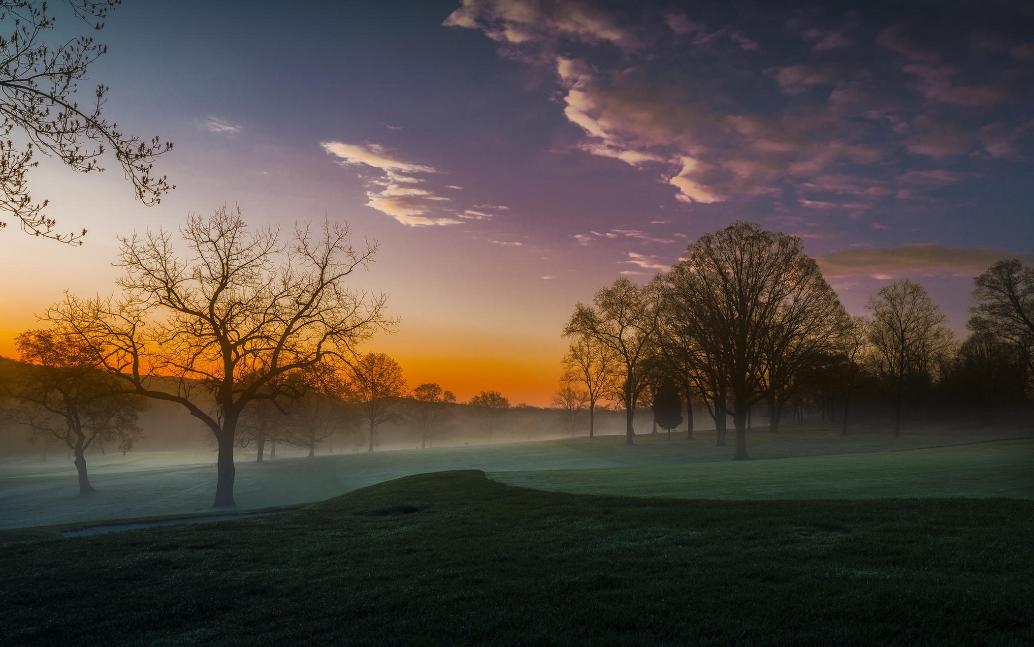 Nature Landscape Mist Trees Clouds Lawns Golf Course Morning 2100x1315