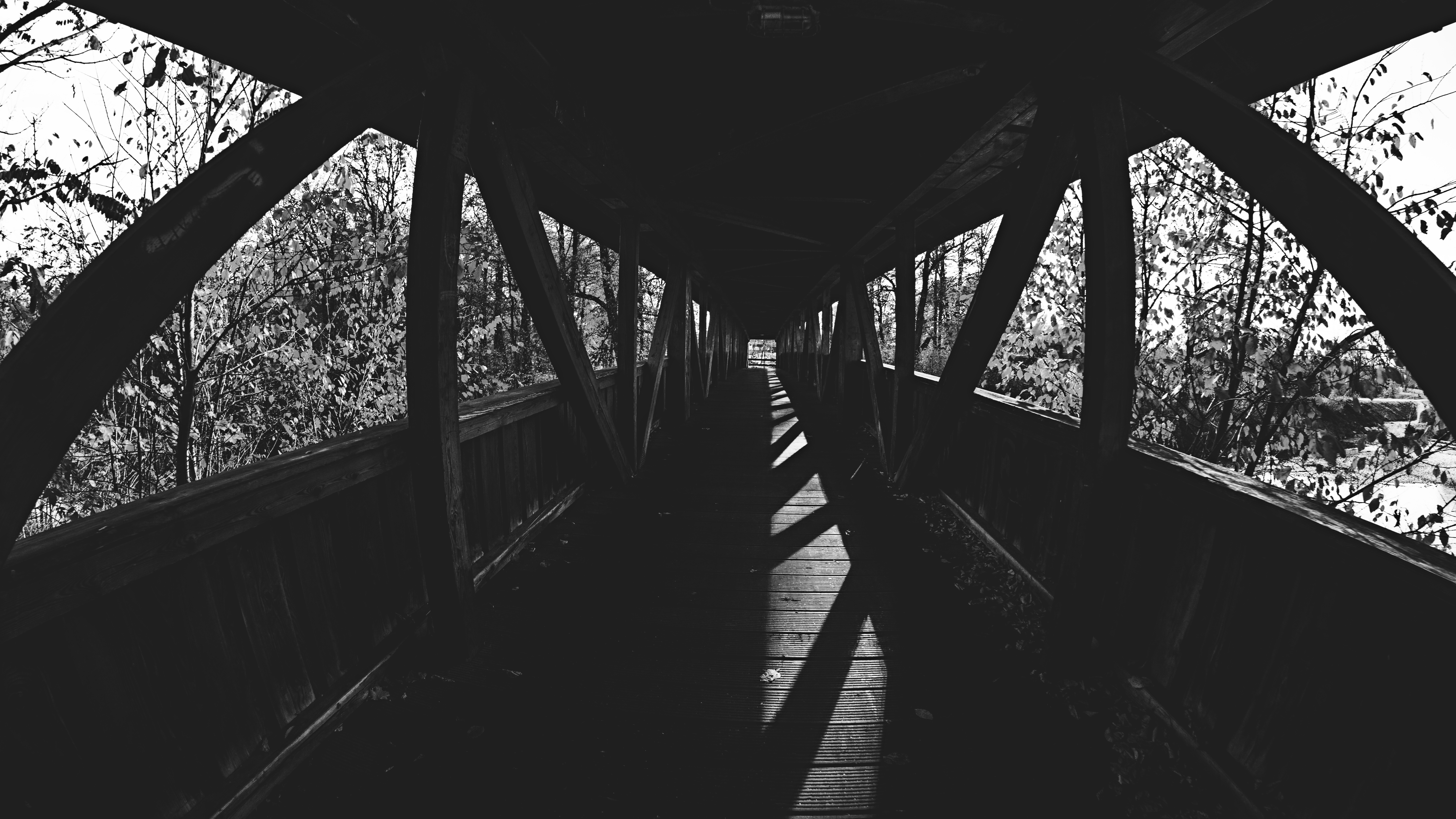 Bridge Wooden Bridge Monochrome Fisheye Lens Nature Dark 6000x3376