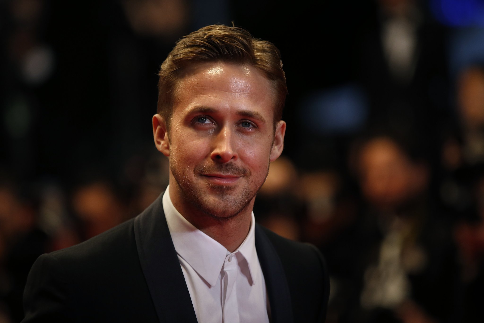 Ryan Gosling Celebrity Actor 2048x1365