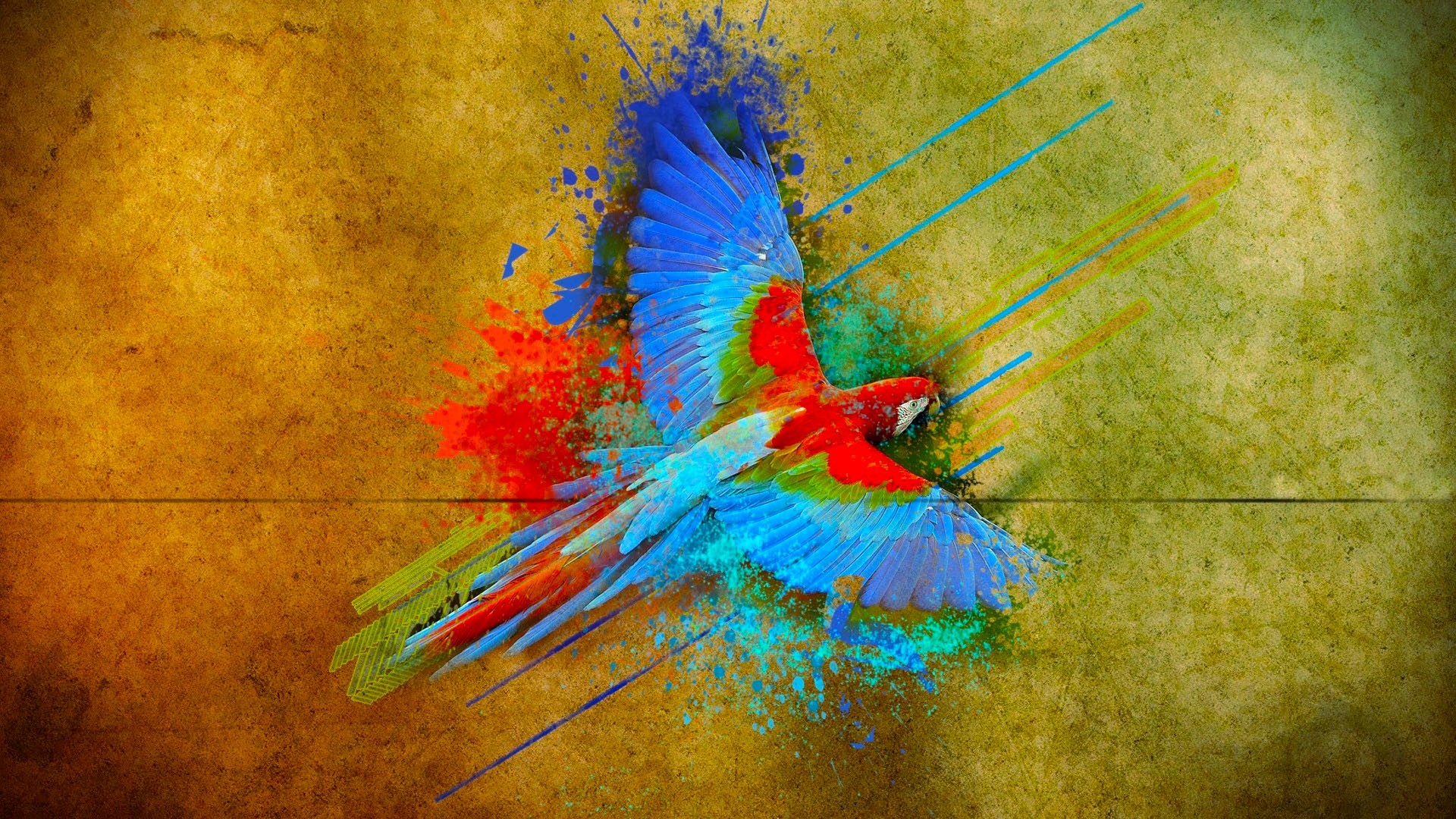 Parrot Birds Colorful Flying 1920x1080