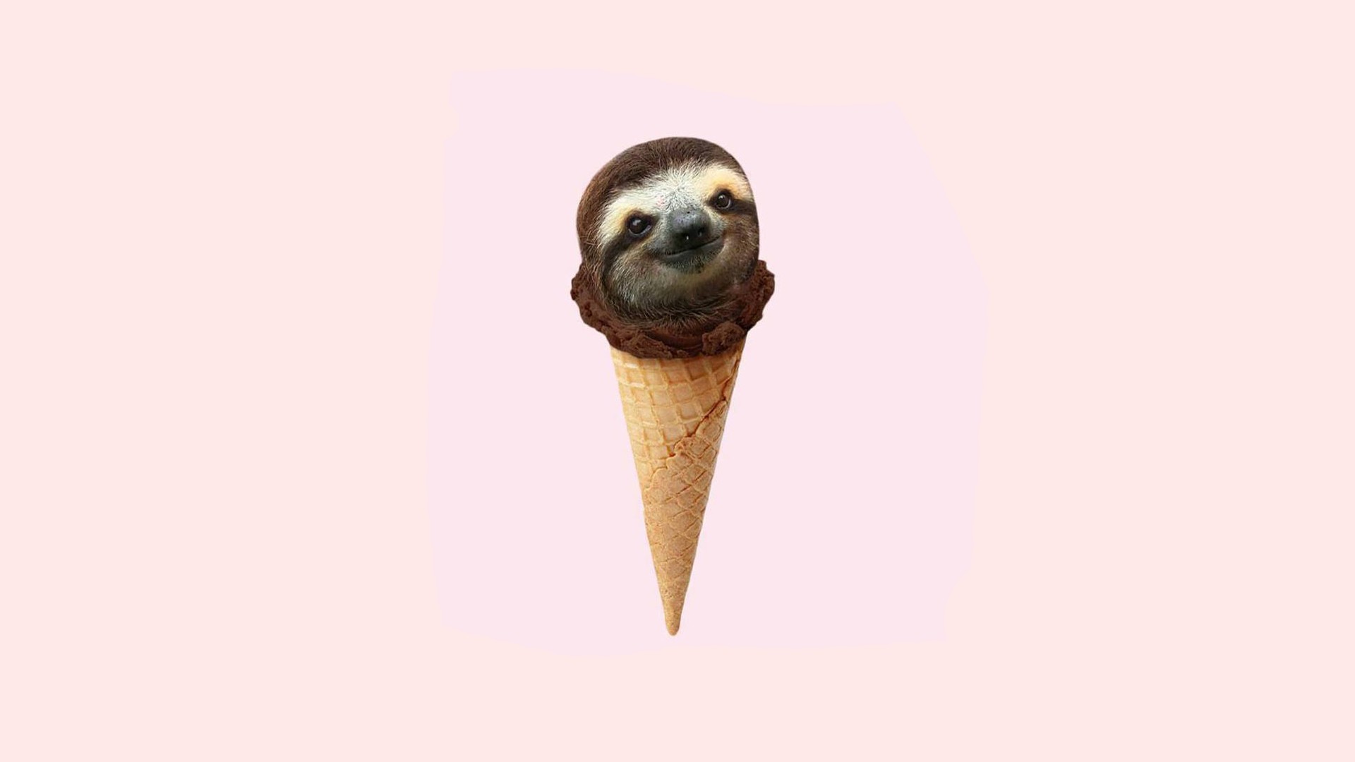 Simple Background Ice Cream Minimalism Chocolate Sloths Humor 1920x1080