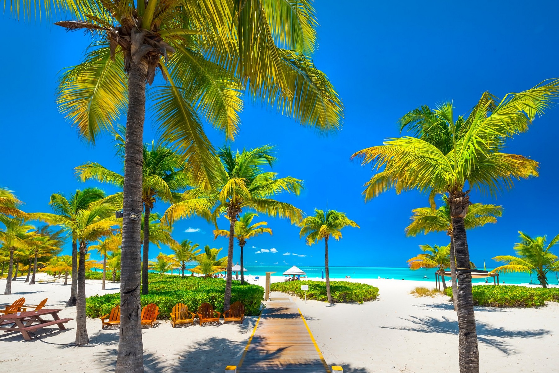 Nature Landscape Tropical Beach Palm Trees Sea Caribbean Walkway White Sand Chair Blue Sky Turks Cai 1800x1202