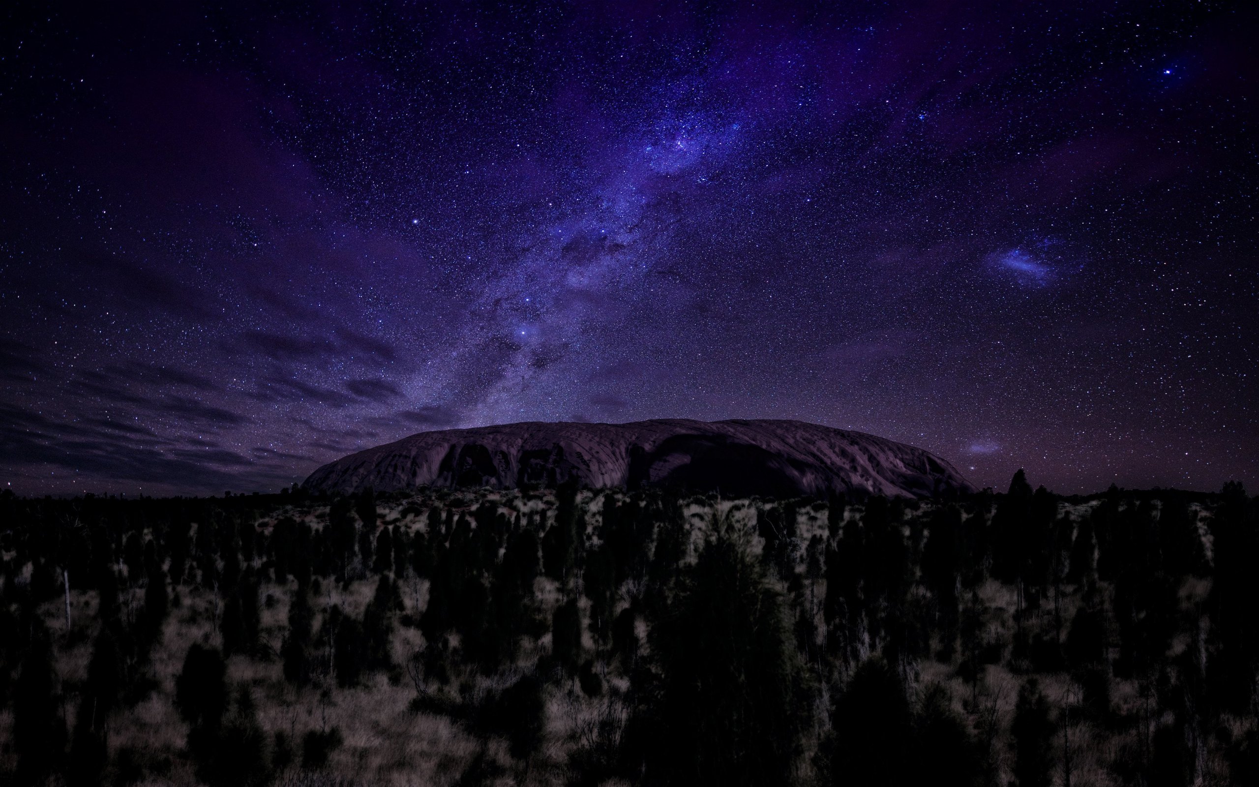 Earth Sky Night Starry Sky Ayers Rock Winter Tree Forest Australia 2560x1600