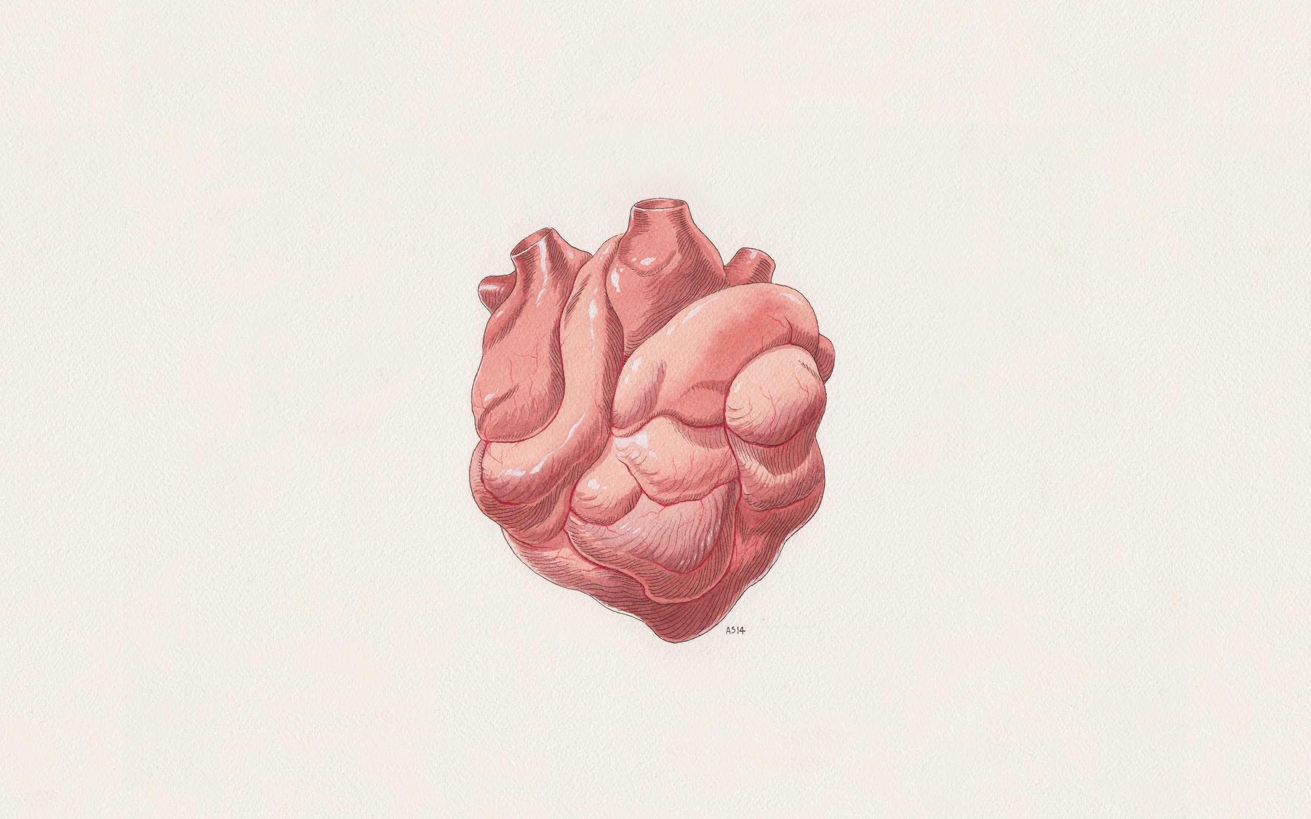 Medicine Heart Red Artwork Beige 2560x1600