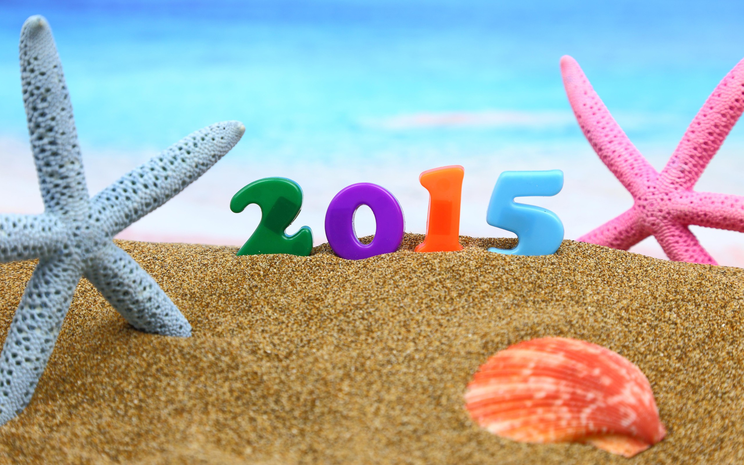 Christmas New Year Starfish Seashells Sand 2015 2560x1600