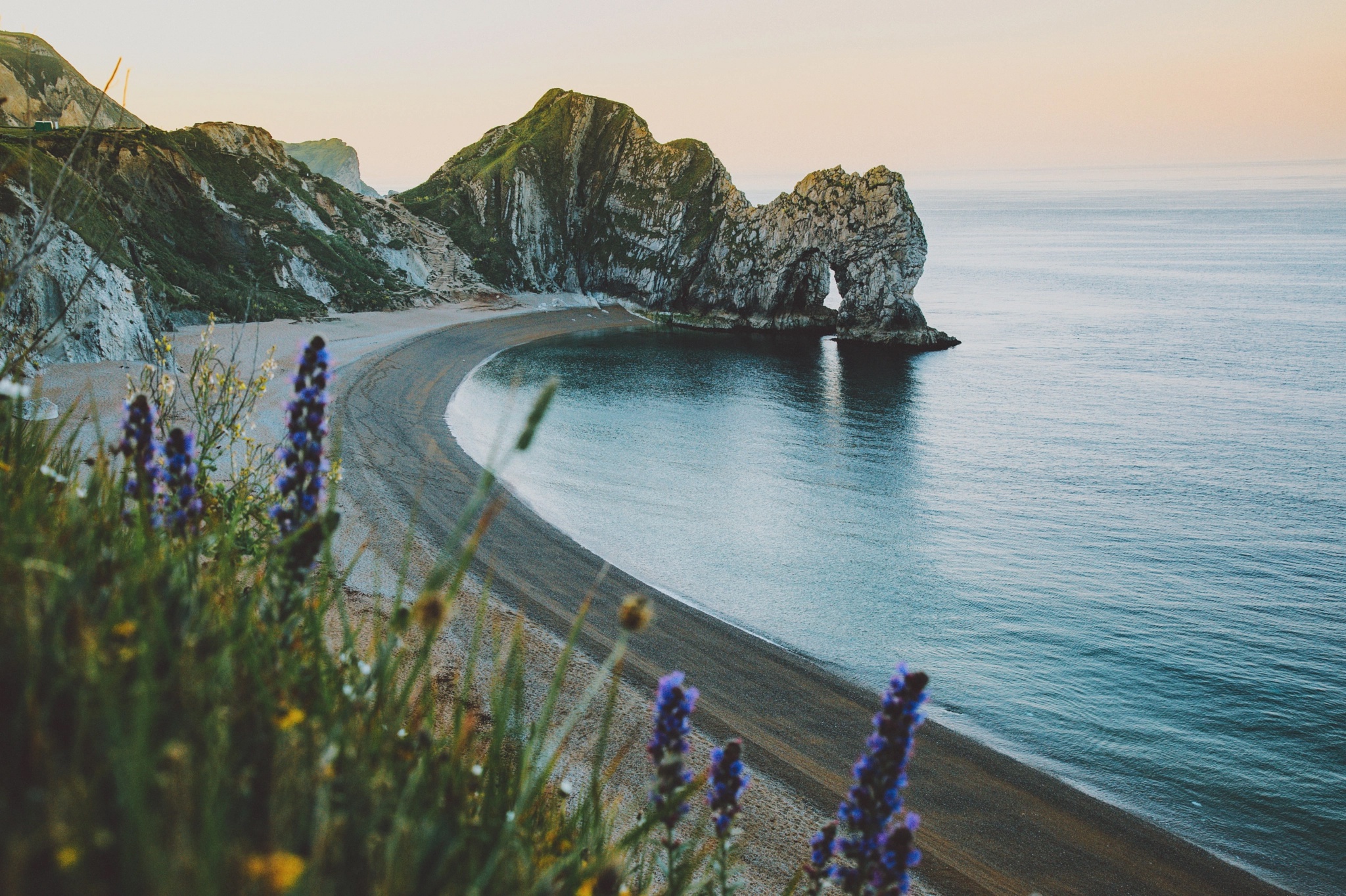 Sea Coast Outdoors Flowers Plants Durdle Door Cliff Beach 2048x1364