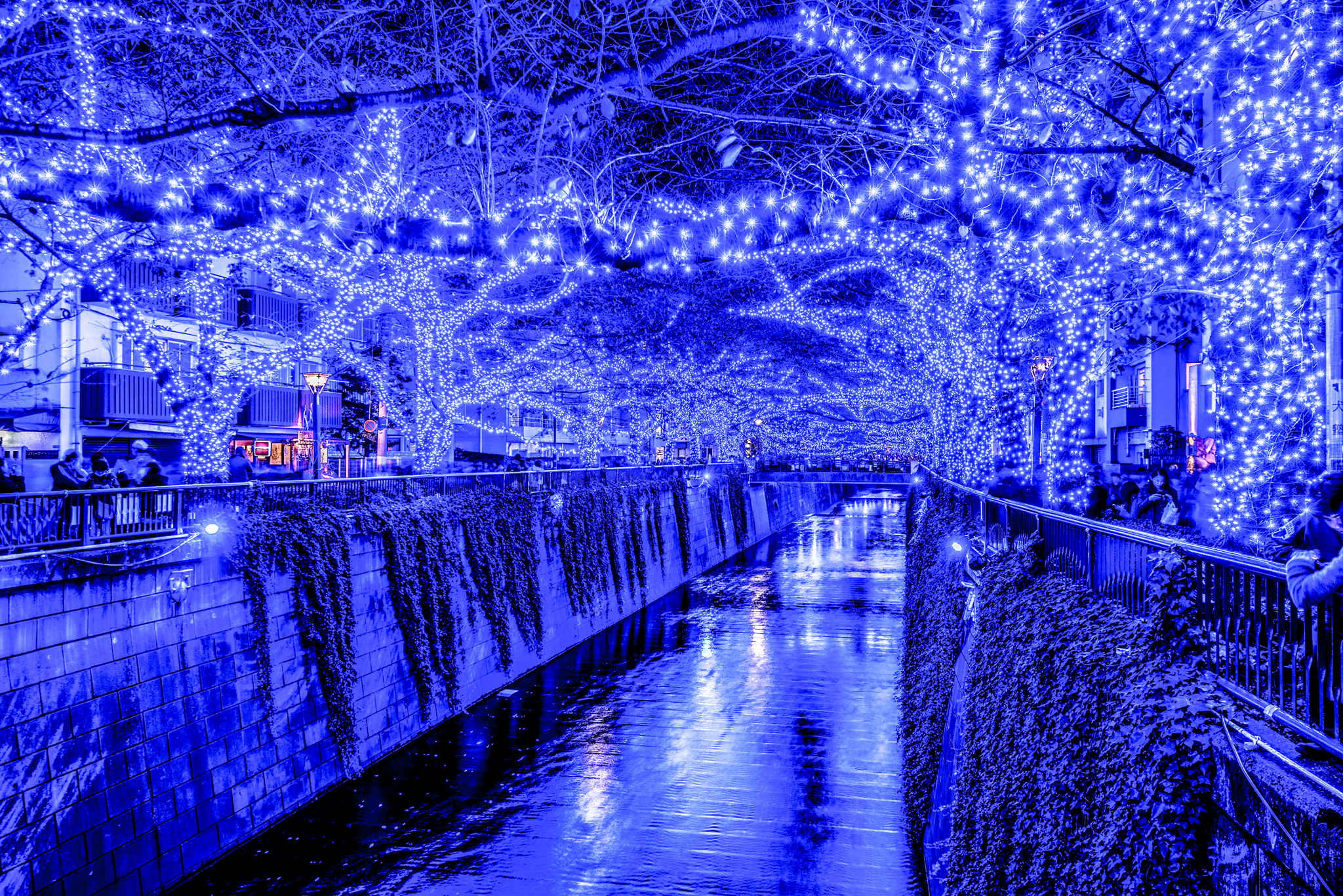 Canal Blue Night Tokyo Light 2048x1367