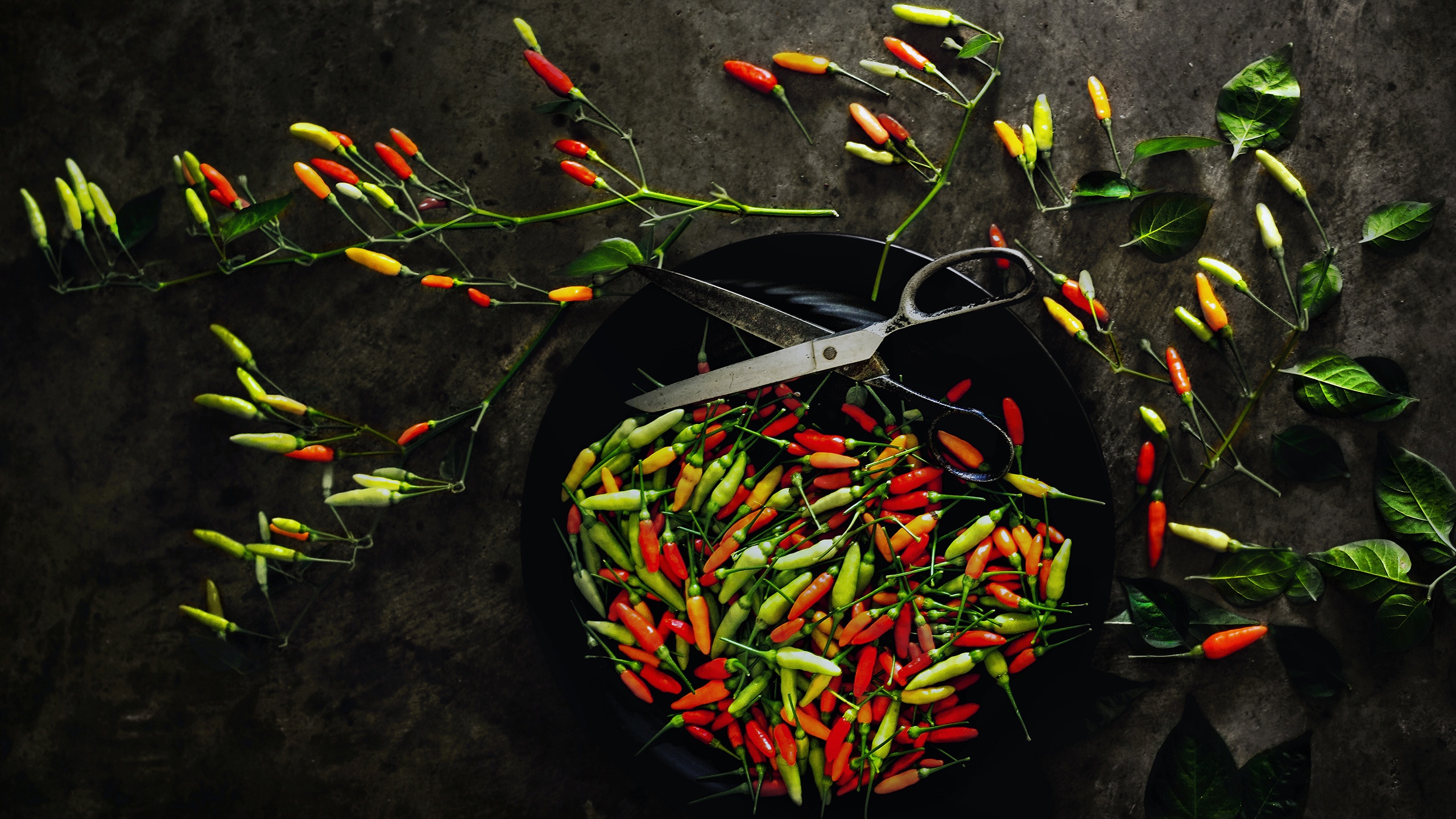 Food Scissors Vegetables Pepper Chilli Peppers 2560x1440