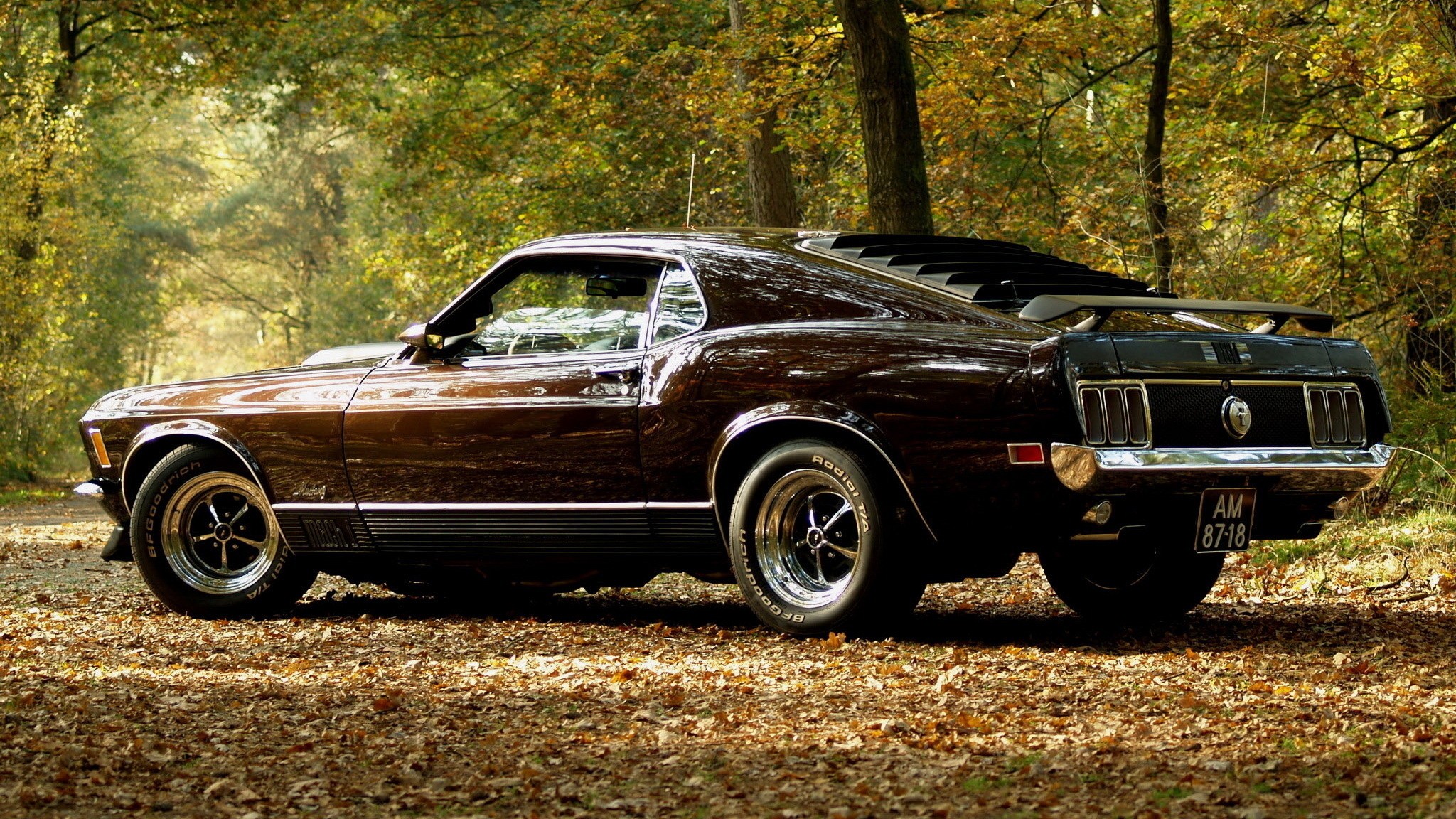 Ford Mustang Mach 1 Muscle Car Fastback 2048x1152