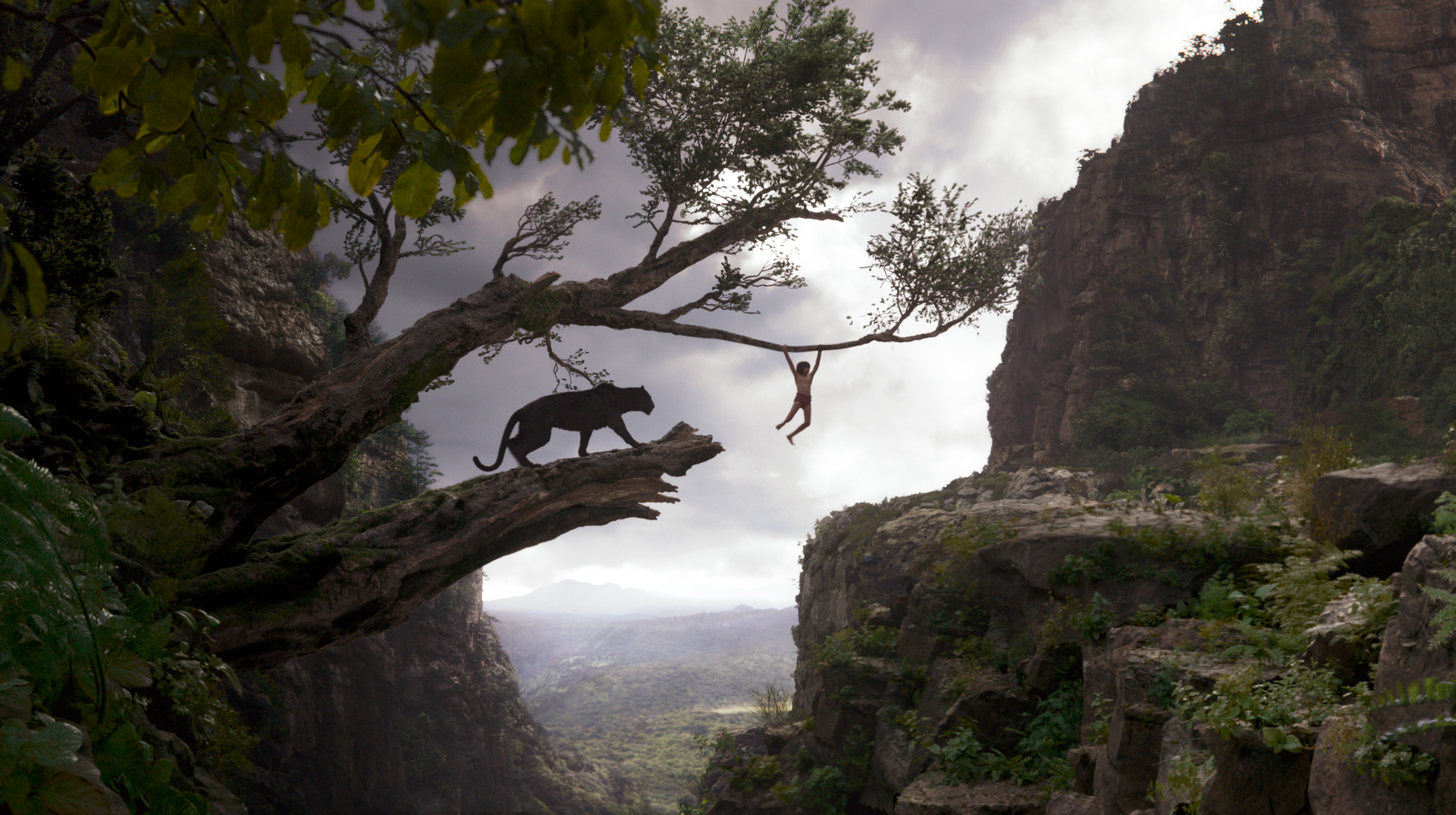 Movie The Jungle Book 2016 2098x1174