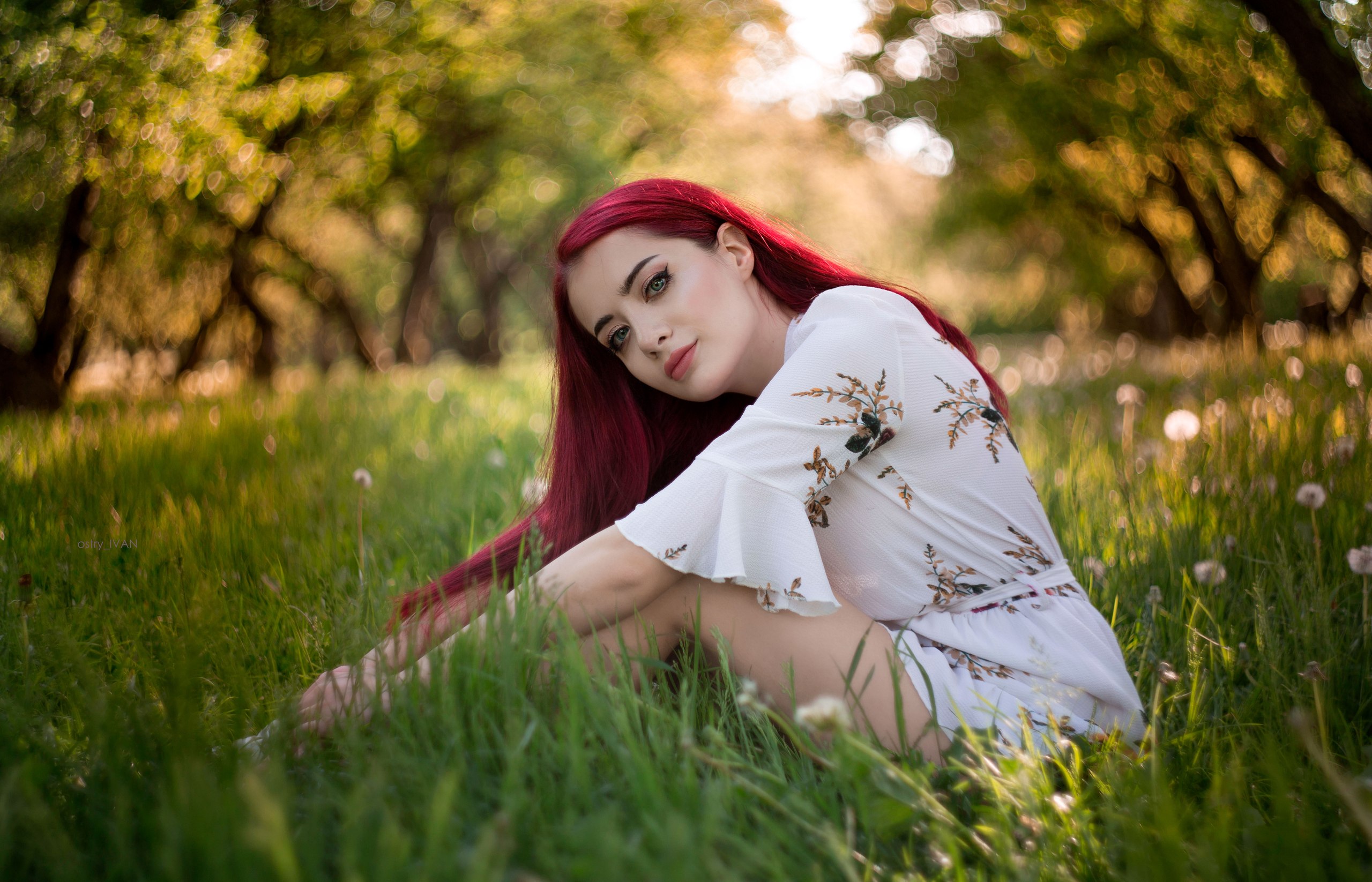 Women Model Redhead Dyed Hair Outdoors Portrait Looking At Viewer Dandelion Grass Trees Depth Of Fie 2560x1646