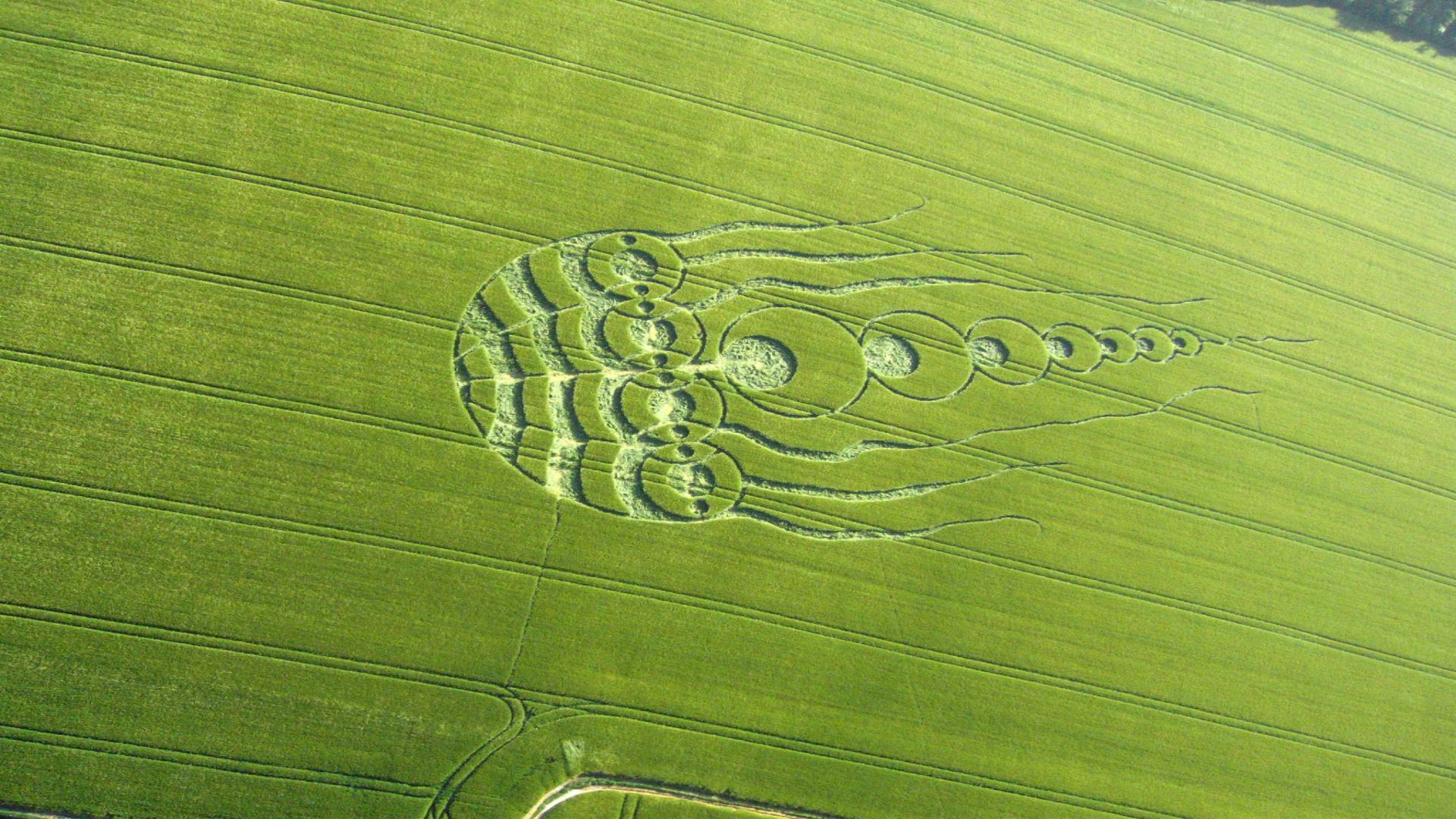 Man Made Crop Circles 1920x1080