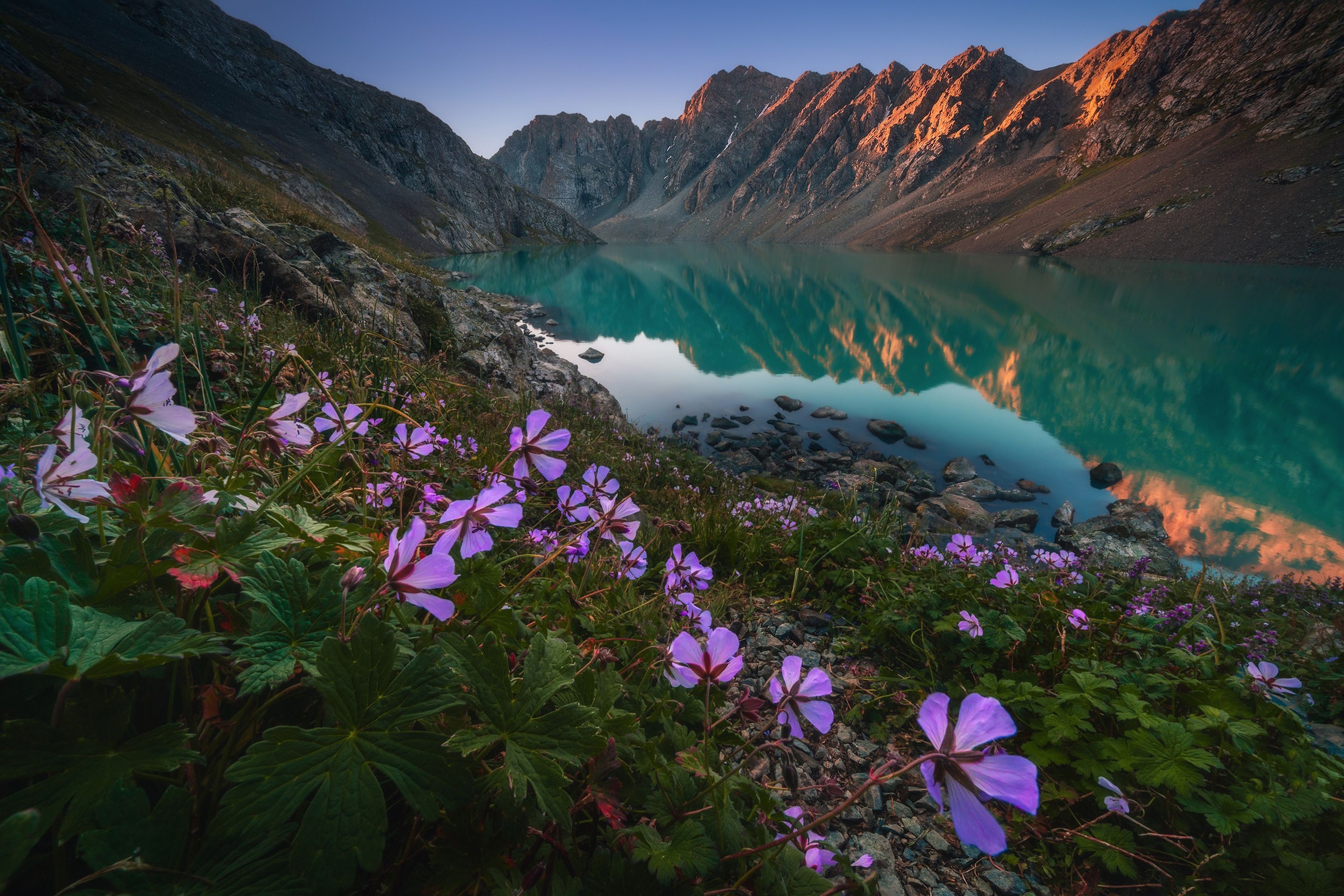 Lake Mountains Flowers Nature Plants Reflection Water Kyrgyzstan 2880x1920