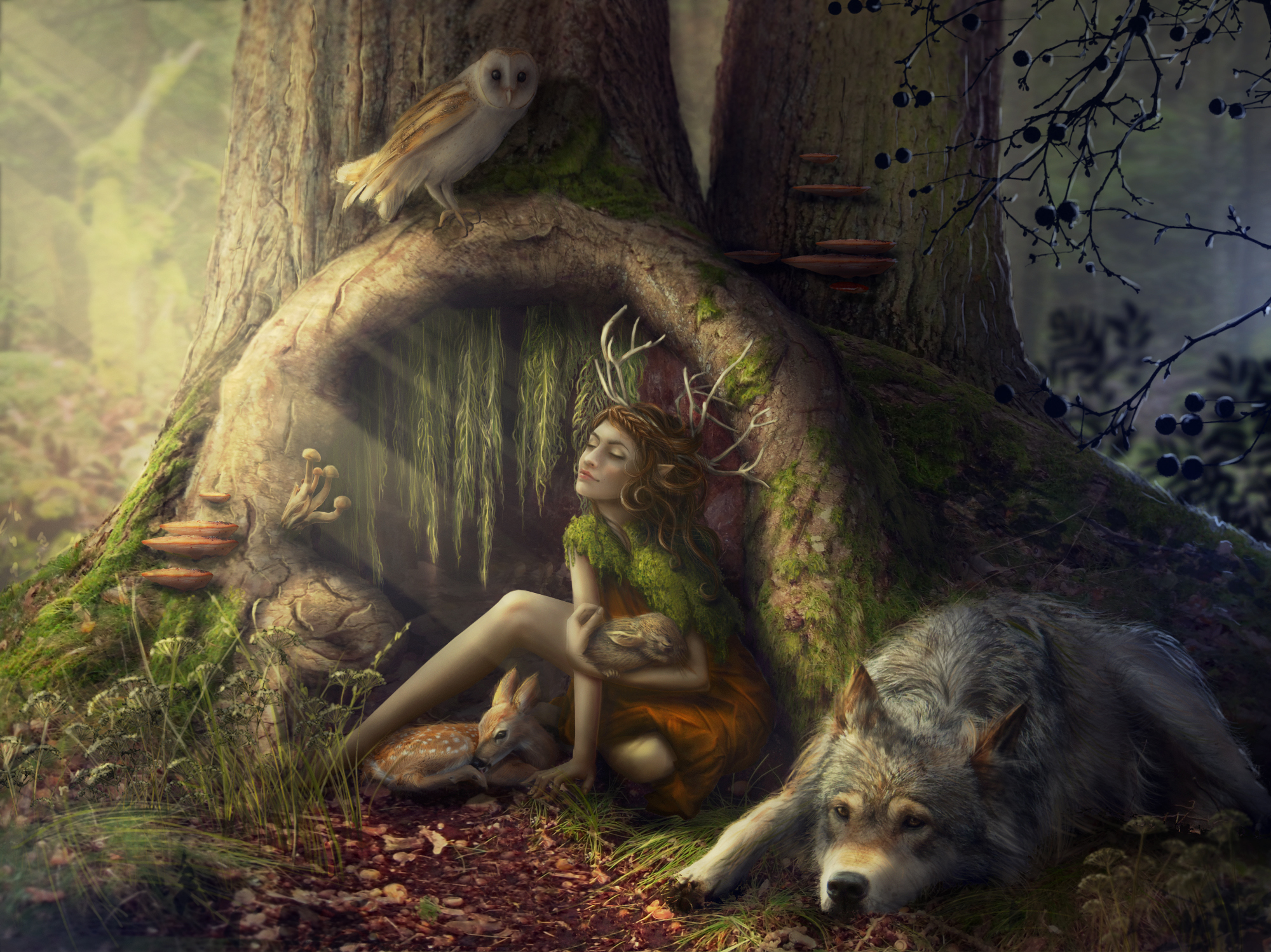 Fantasy Forest Elf Wolf Fawn Rabbit Owl Tree 2000x1498
