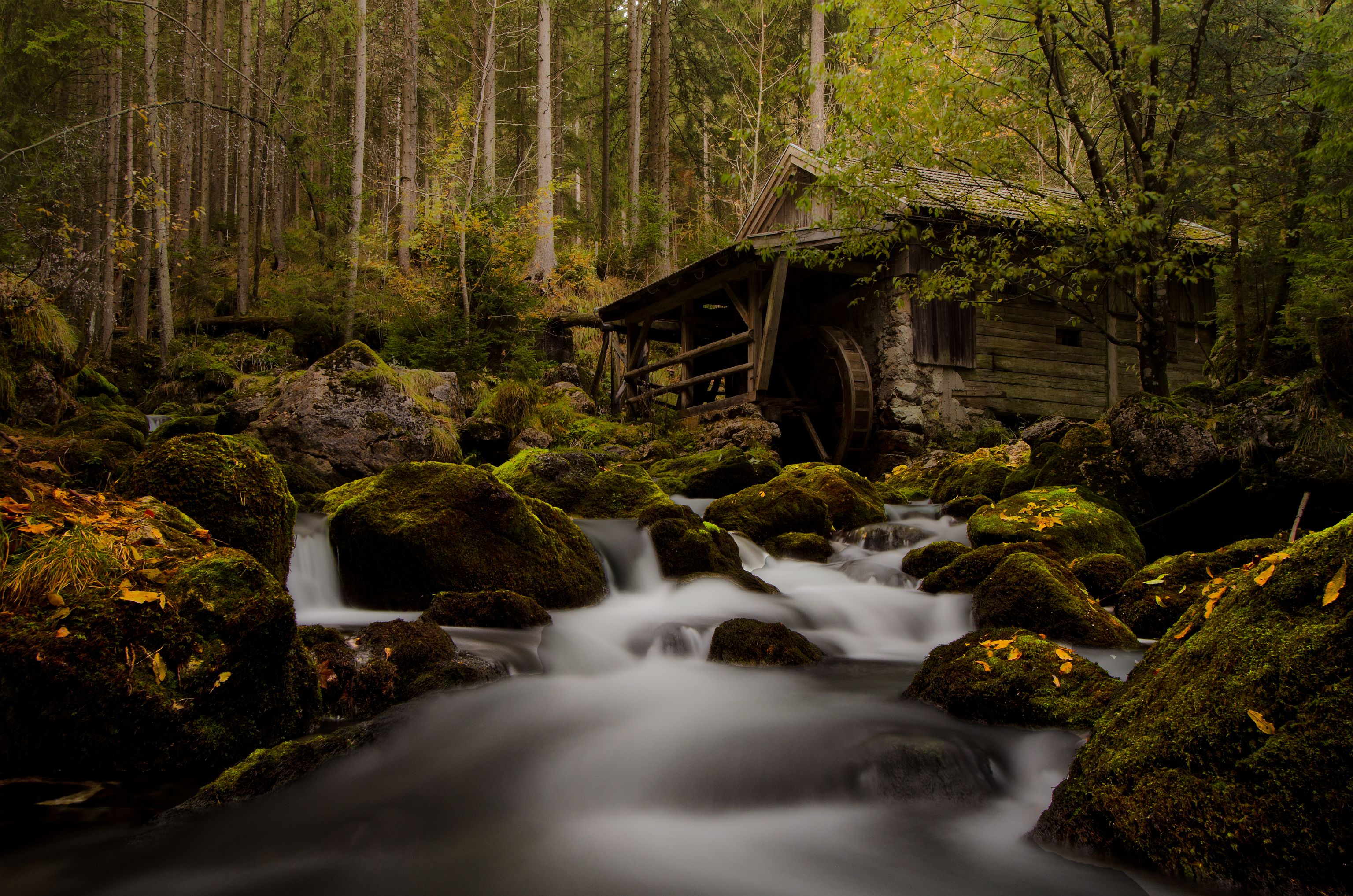 Watermill Waterfall Old Watermill Forest Austria Torrent Boulder Fall 3072x2035