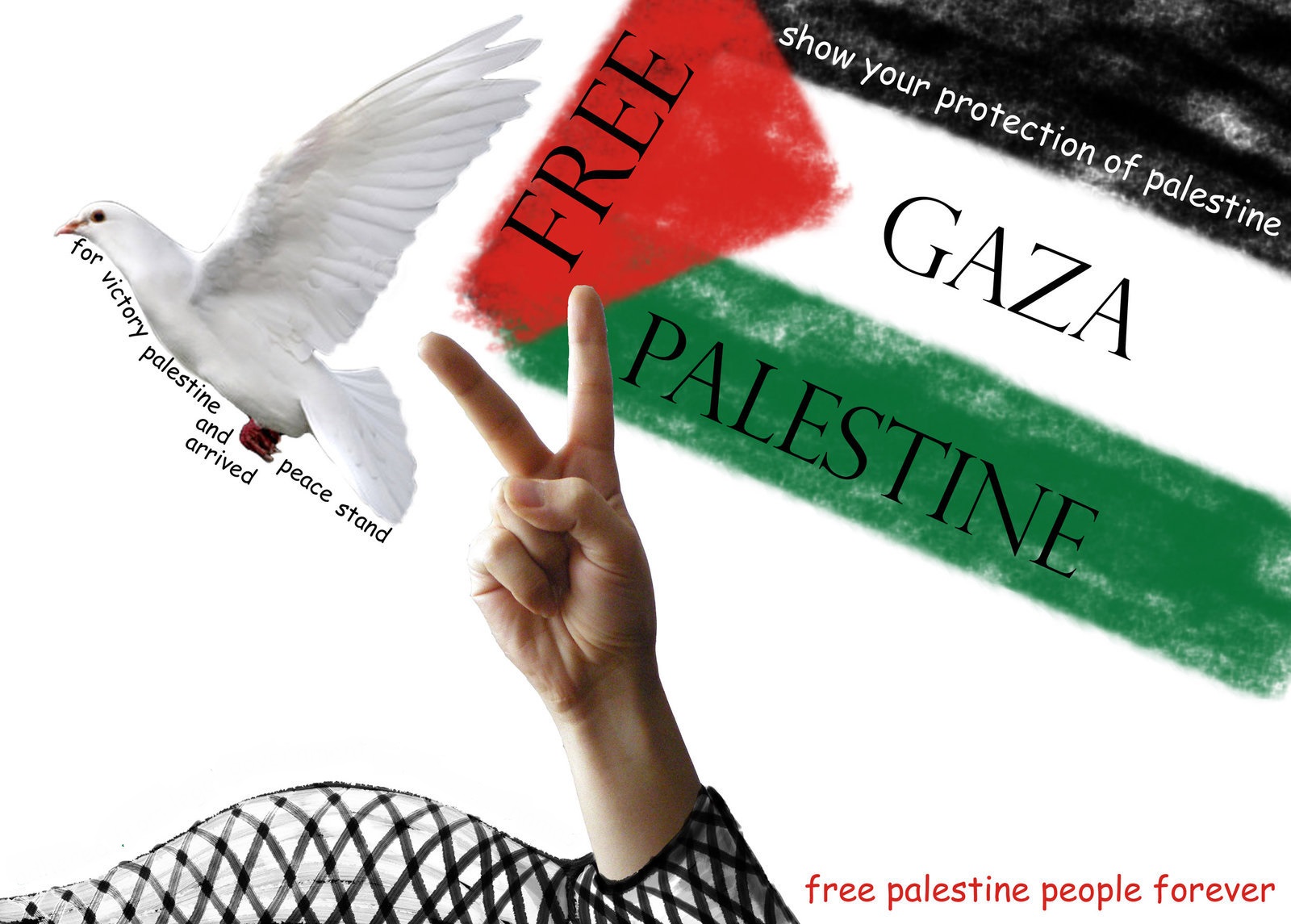 Palestine Flag Dove Gaza Hands Supporters Propaganda 1600x1145