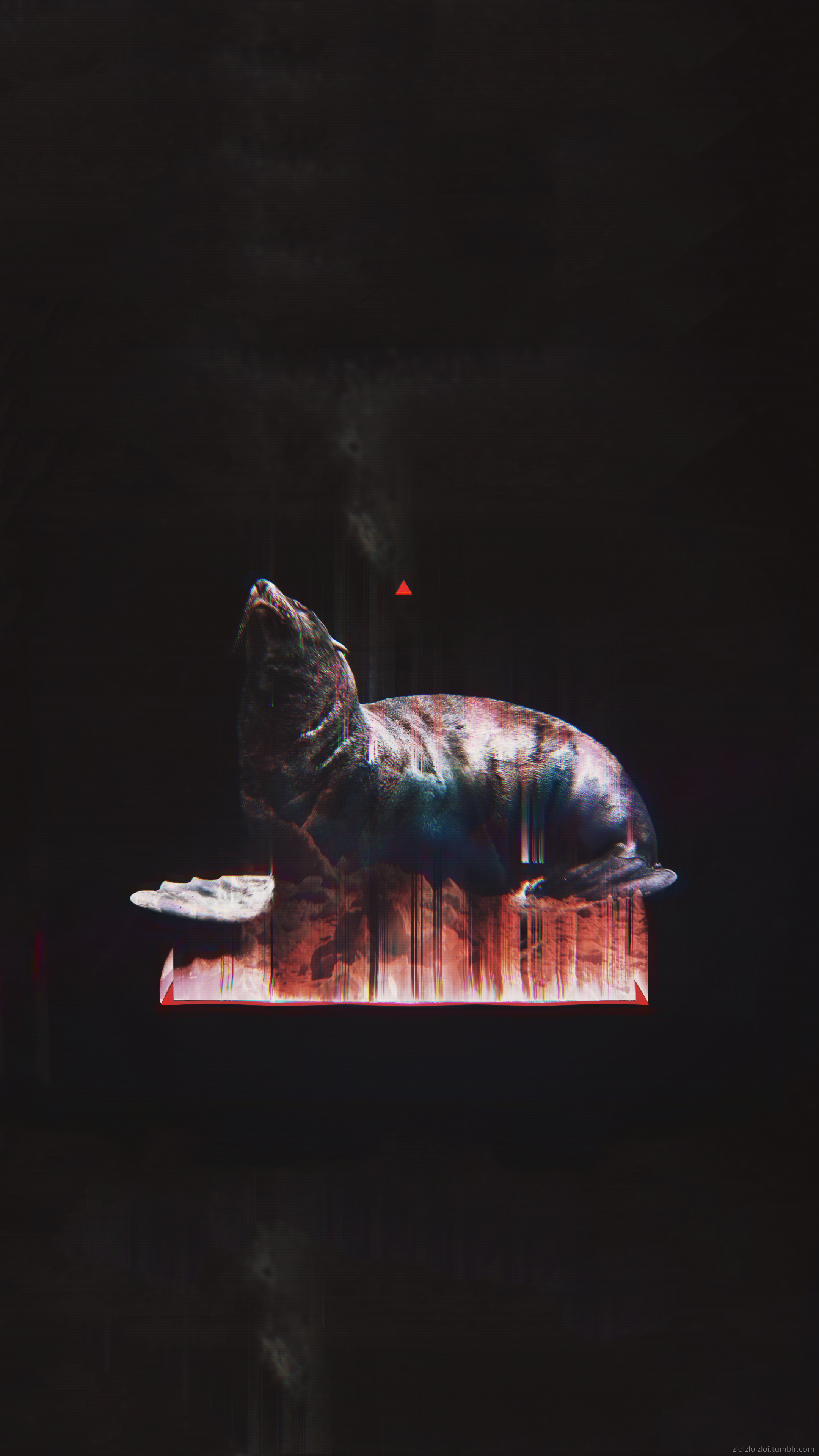 Glitch Art Abstract Black Animals Seals 2160x3840