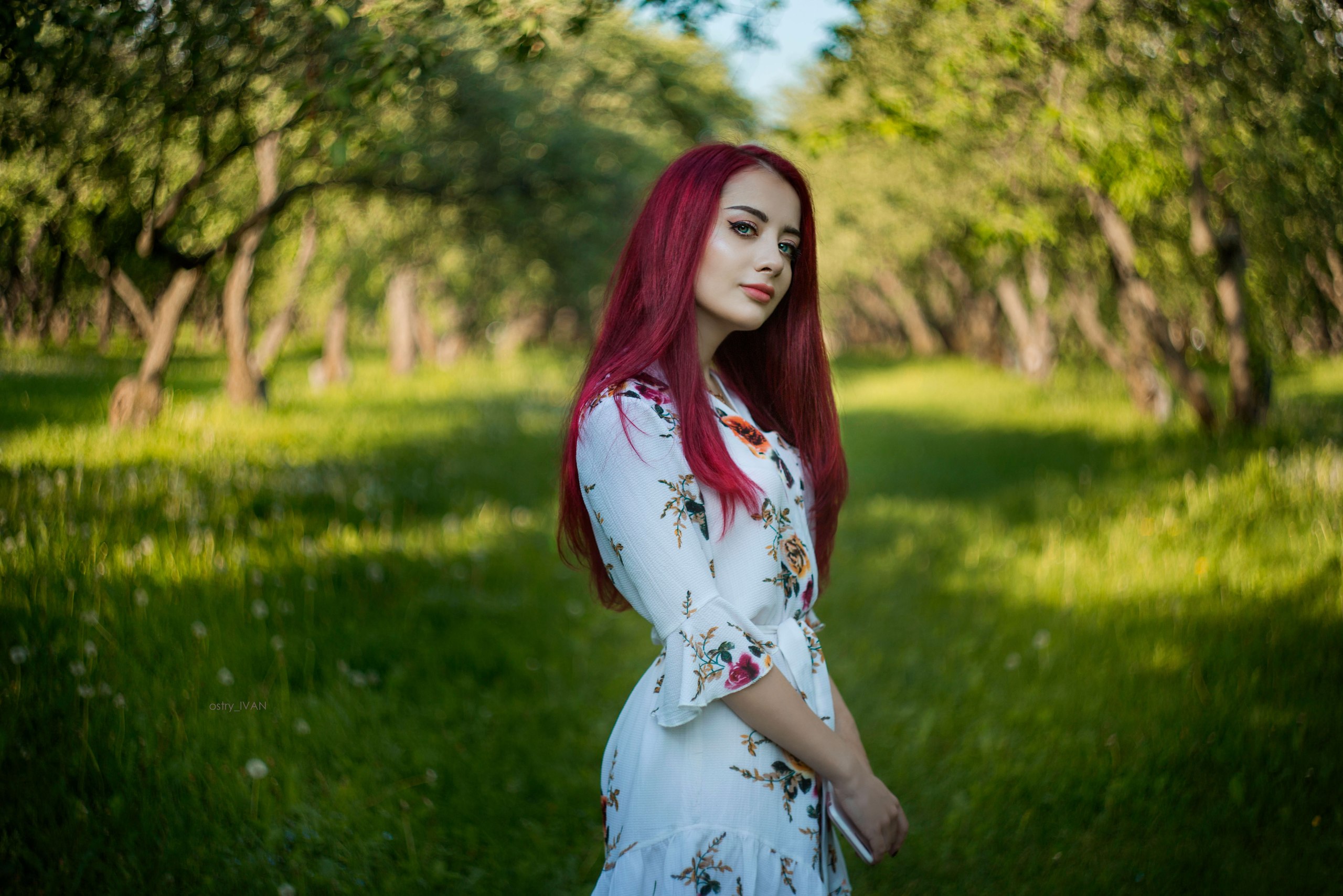 Women Model Redhead Dyed Hair Outdoors Portrait Looking At Viewer Grass Trees Depth Of Field Dress L 2560x1707