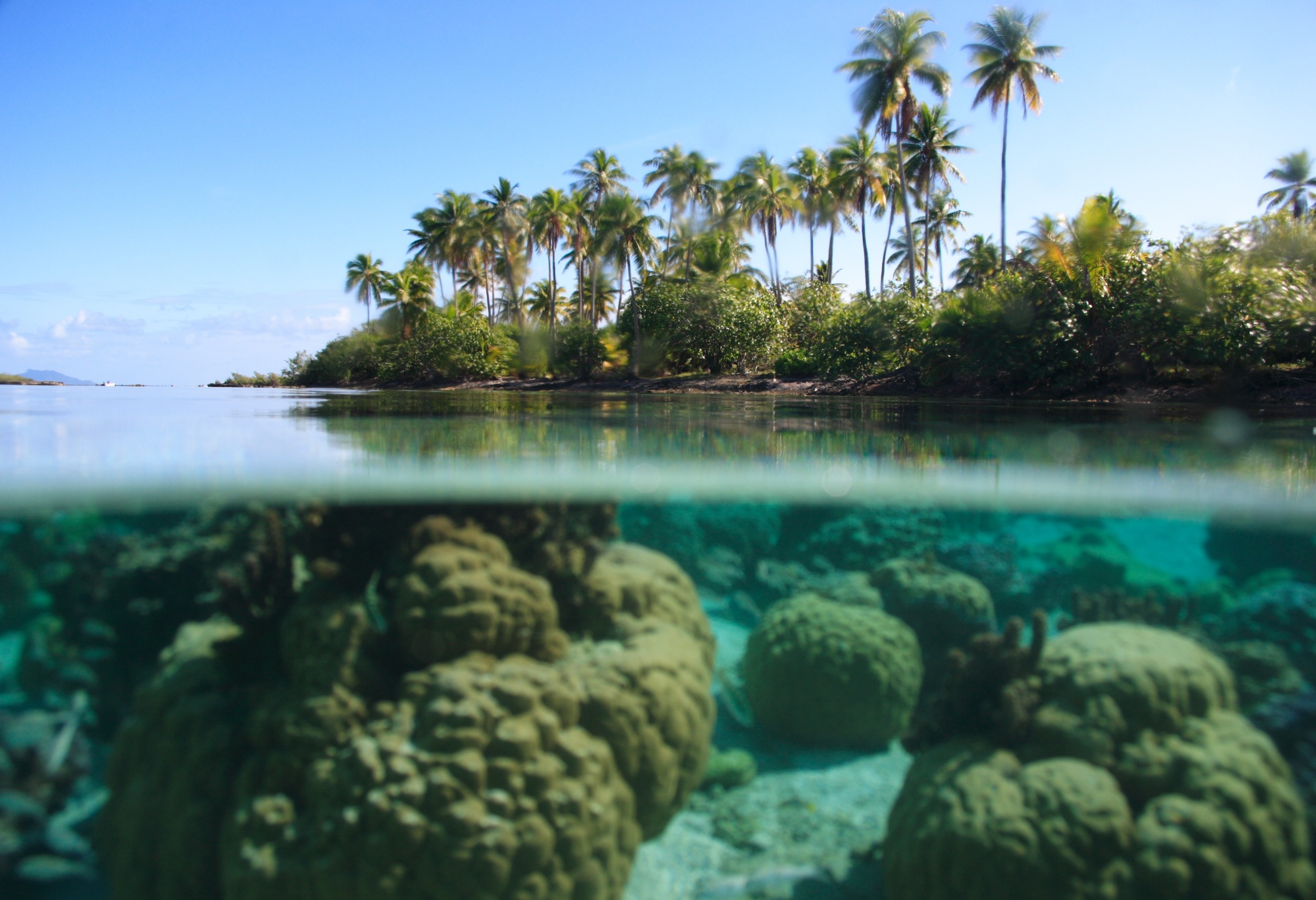 Tropical Water Split View 2977x2036