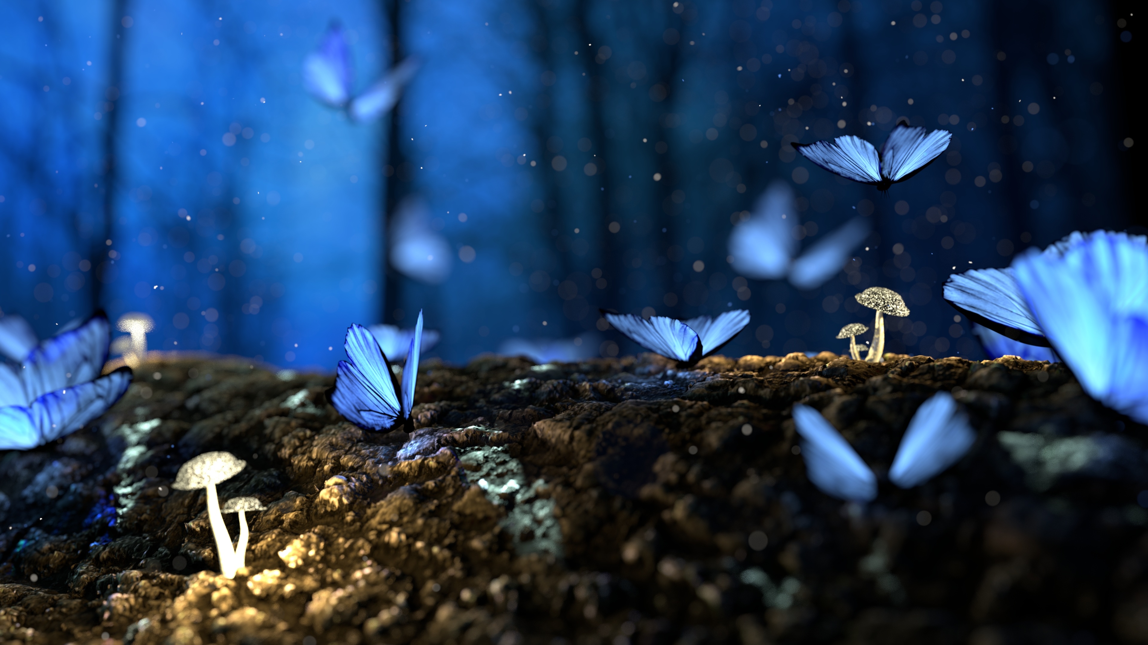 Nature Flies Butterflies Blue Calm Mushroom Trees 3840x2160