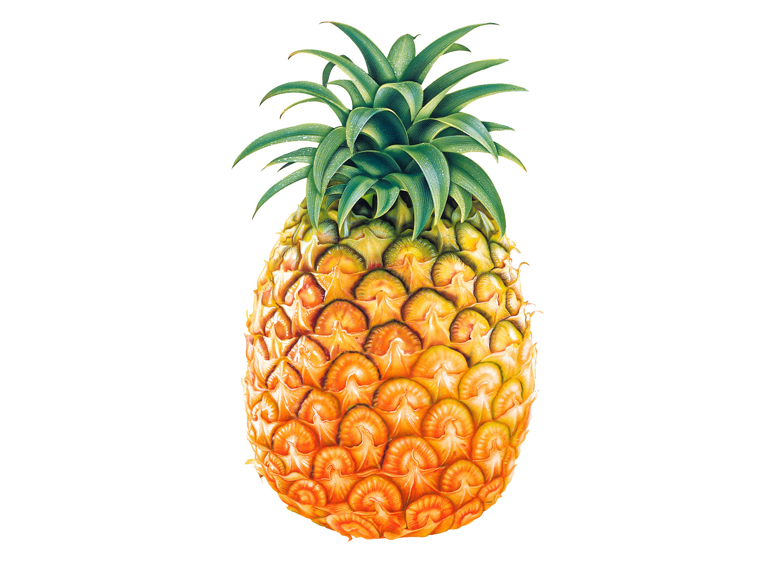 Pineapple 1600x1200