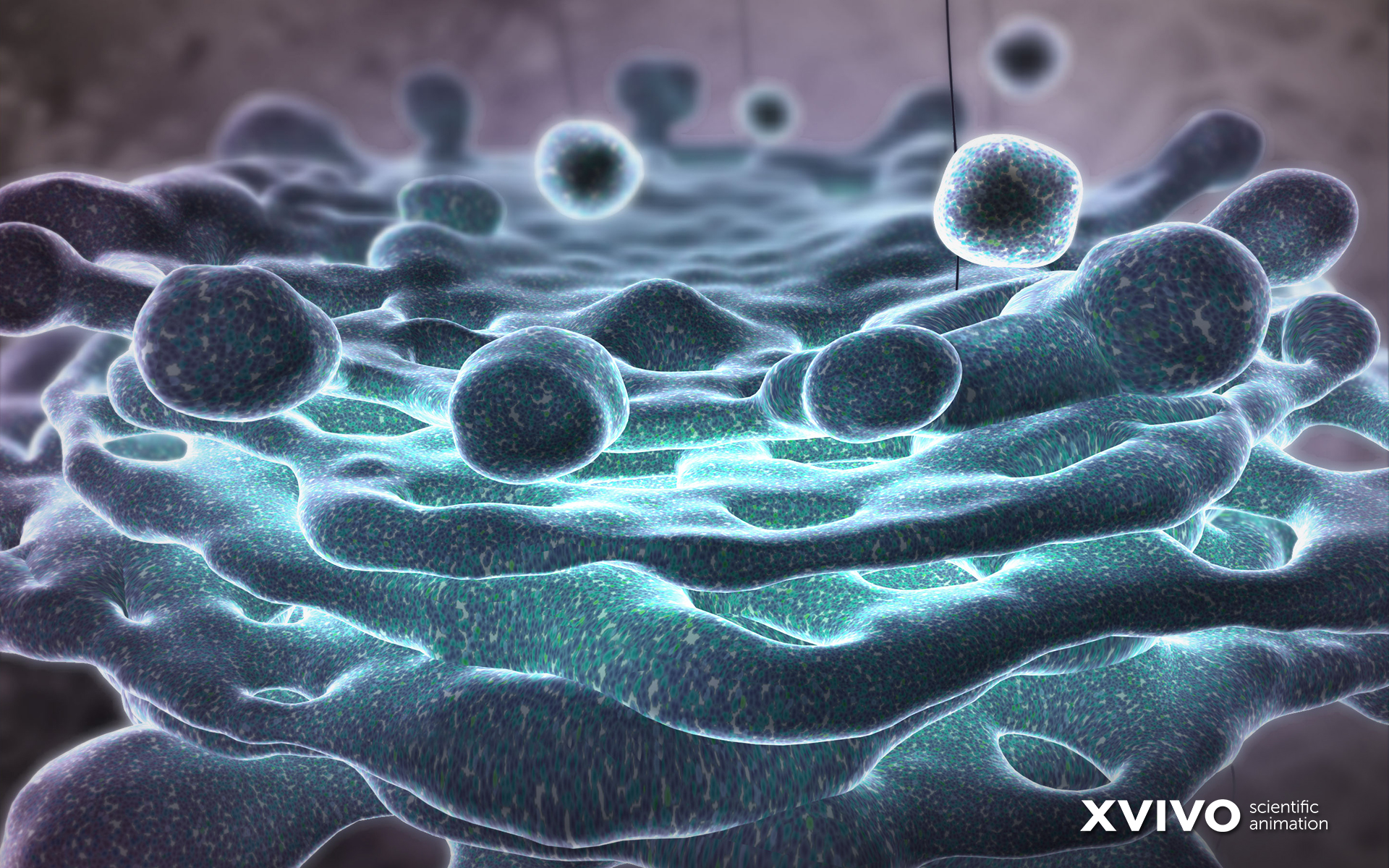 Digital Art Macro Closeup Bacteria Viruses Biology Science XViVO CGi 1920x1200
