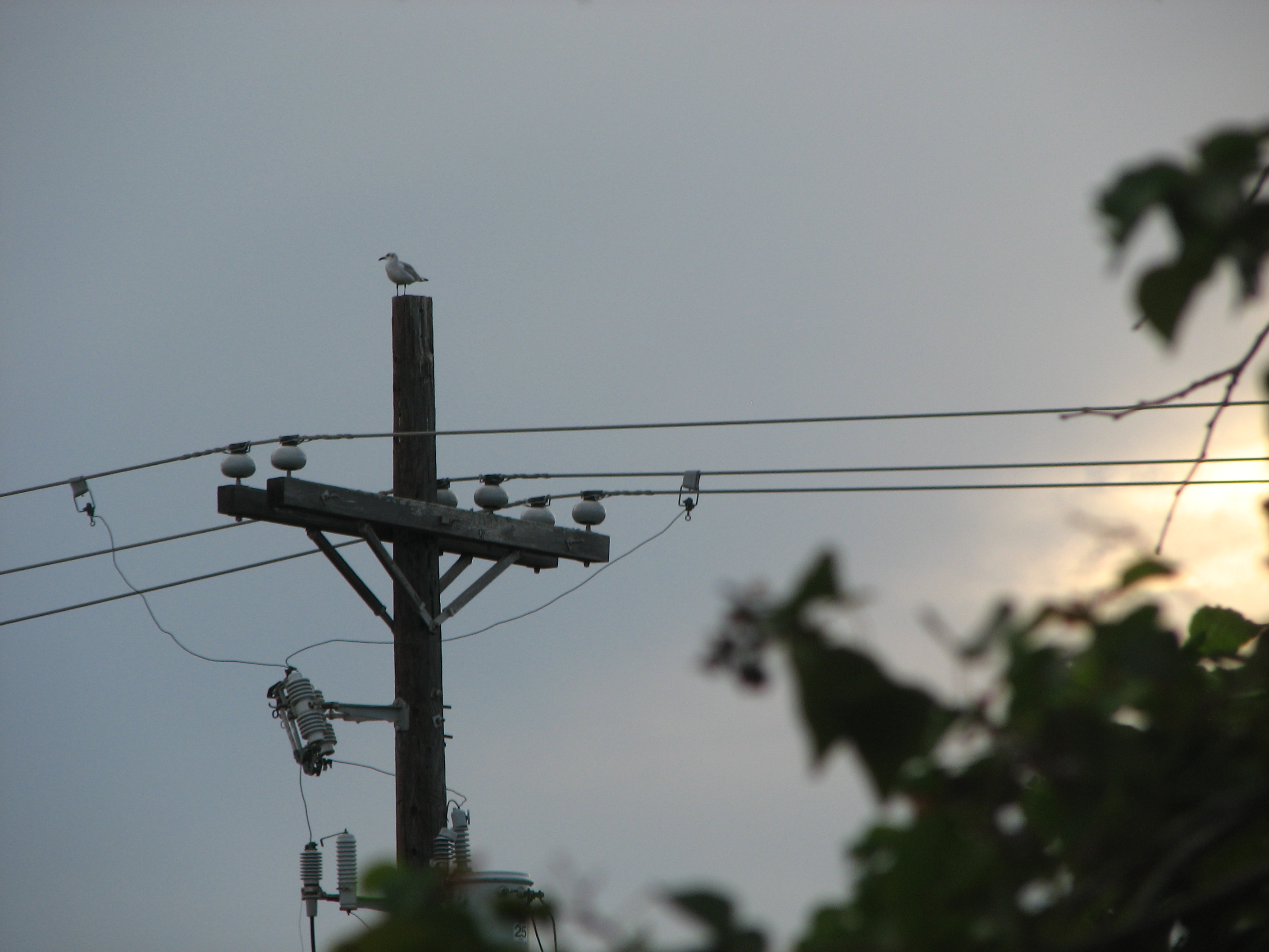 Man Made Power Line 2816x2112