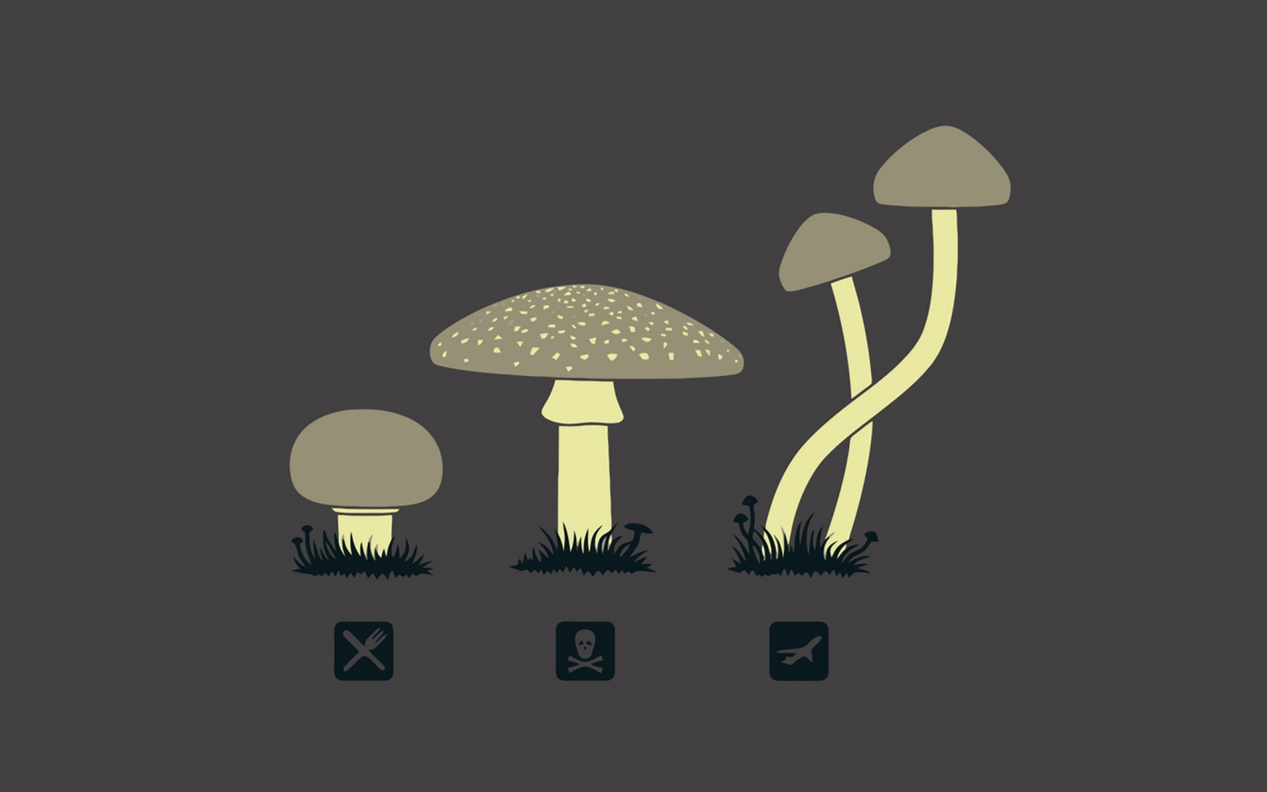 Mushroom 2560x1600