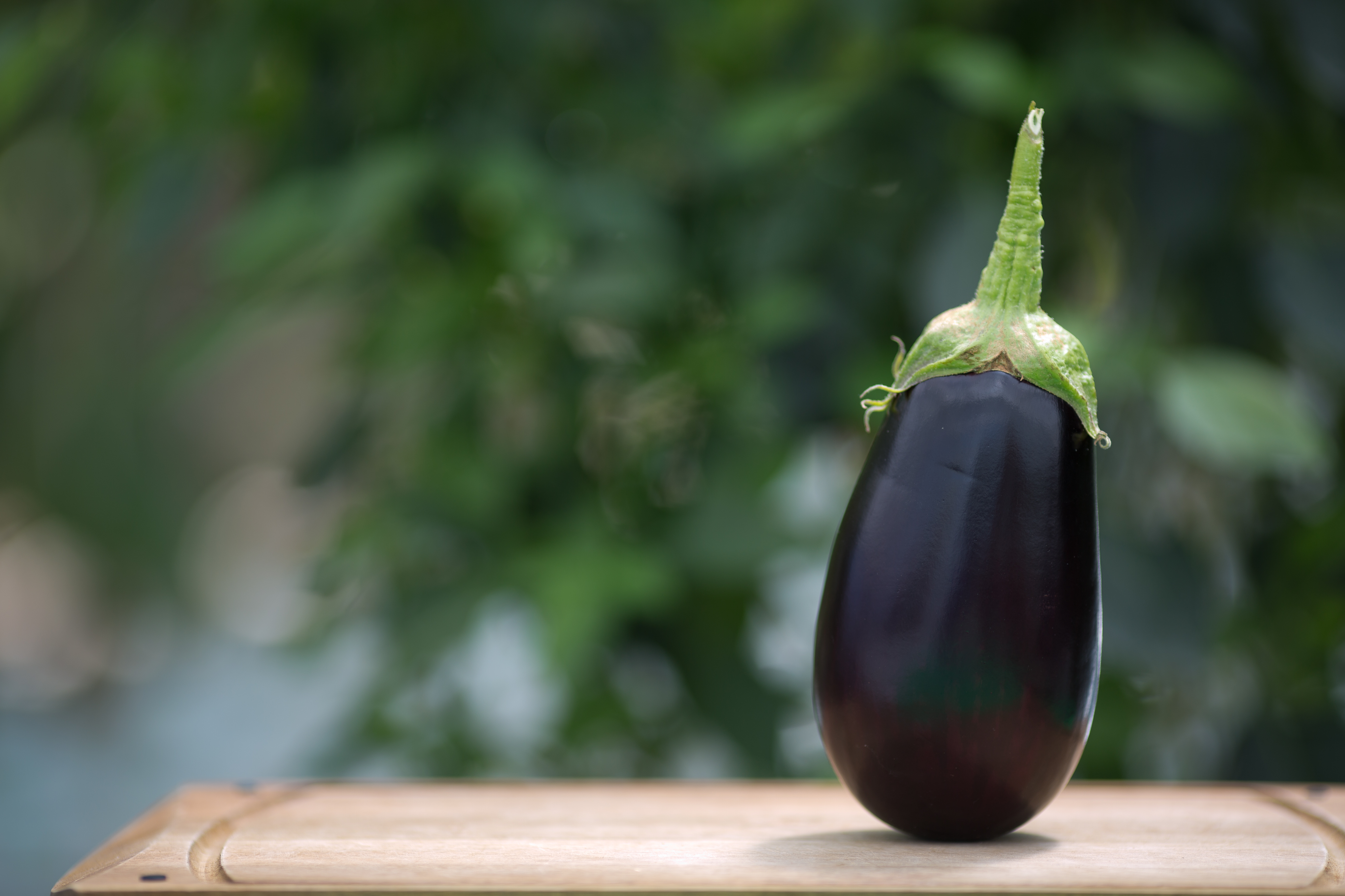 Food Eggplant 6144x4096